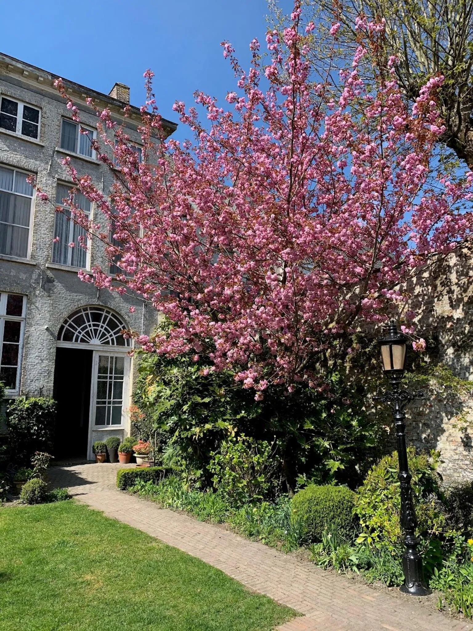Spring in Hotel Patritius