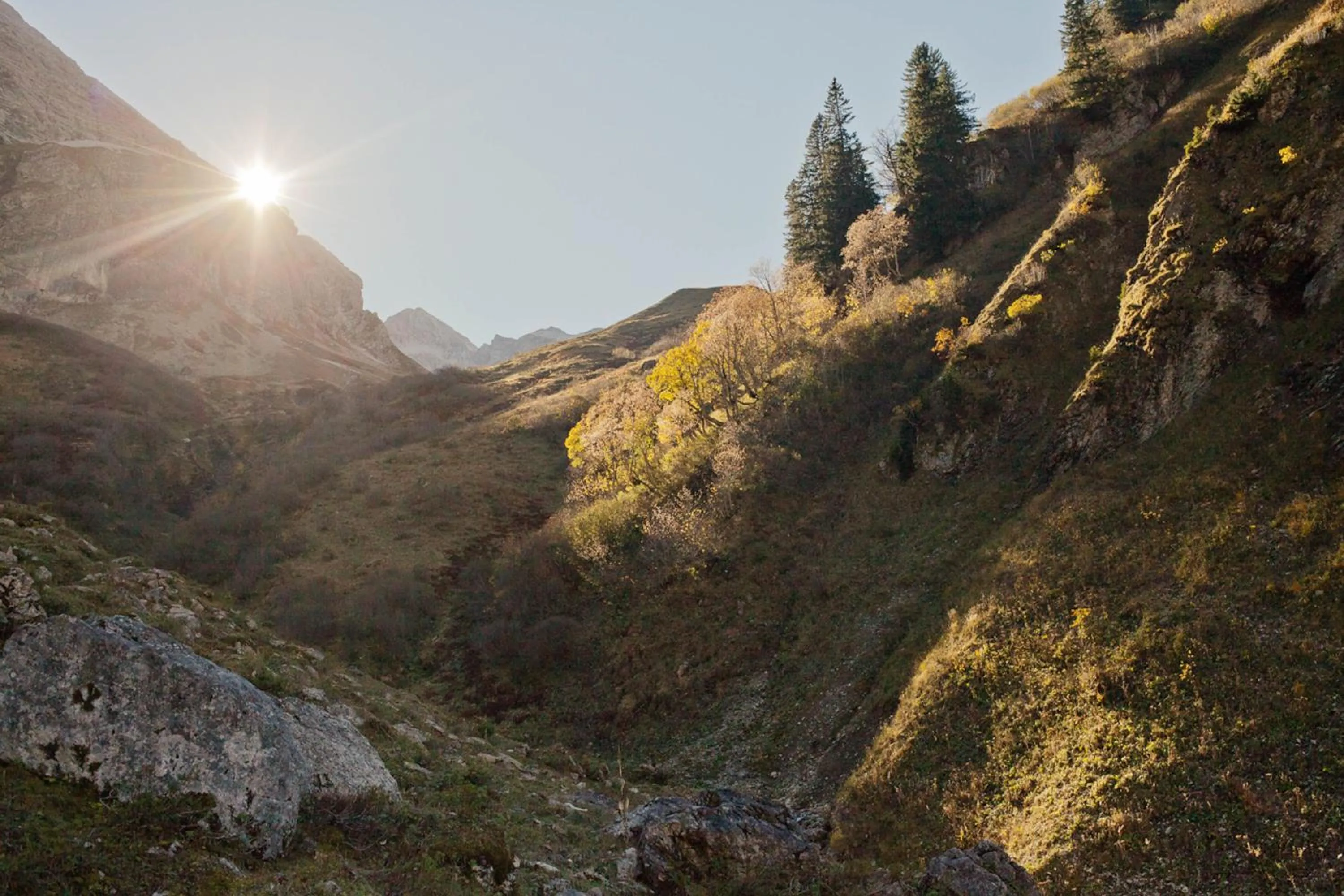 Natural landscape in Landhaus Alger