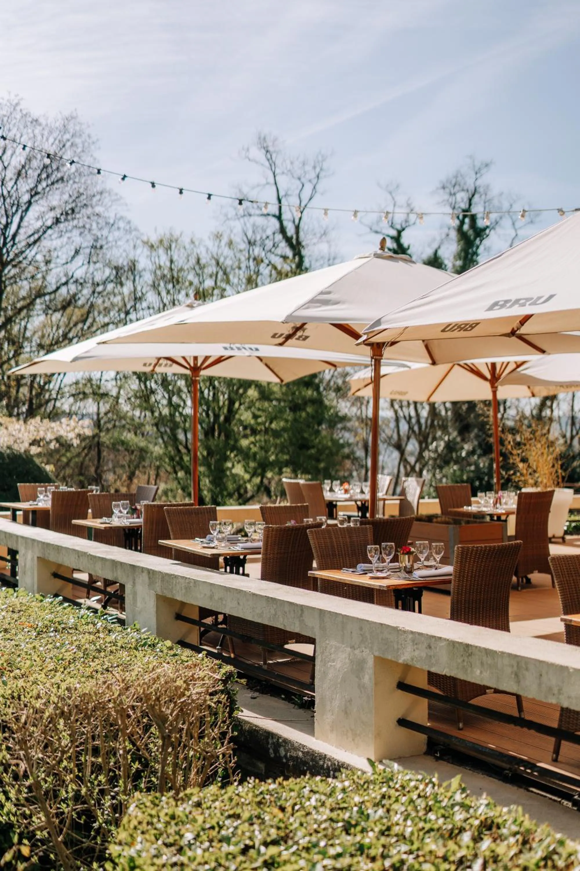 Garden in Le Chateau de Namur
