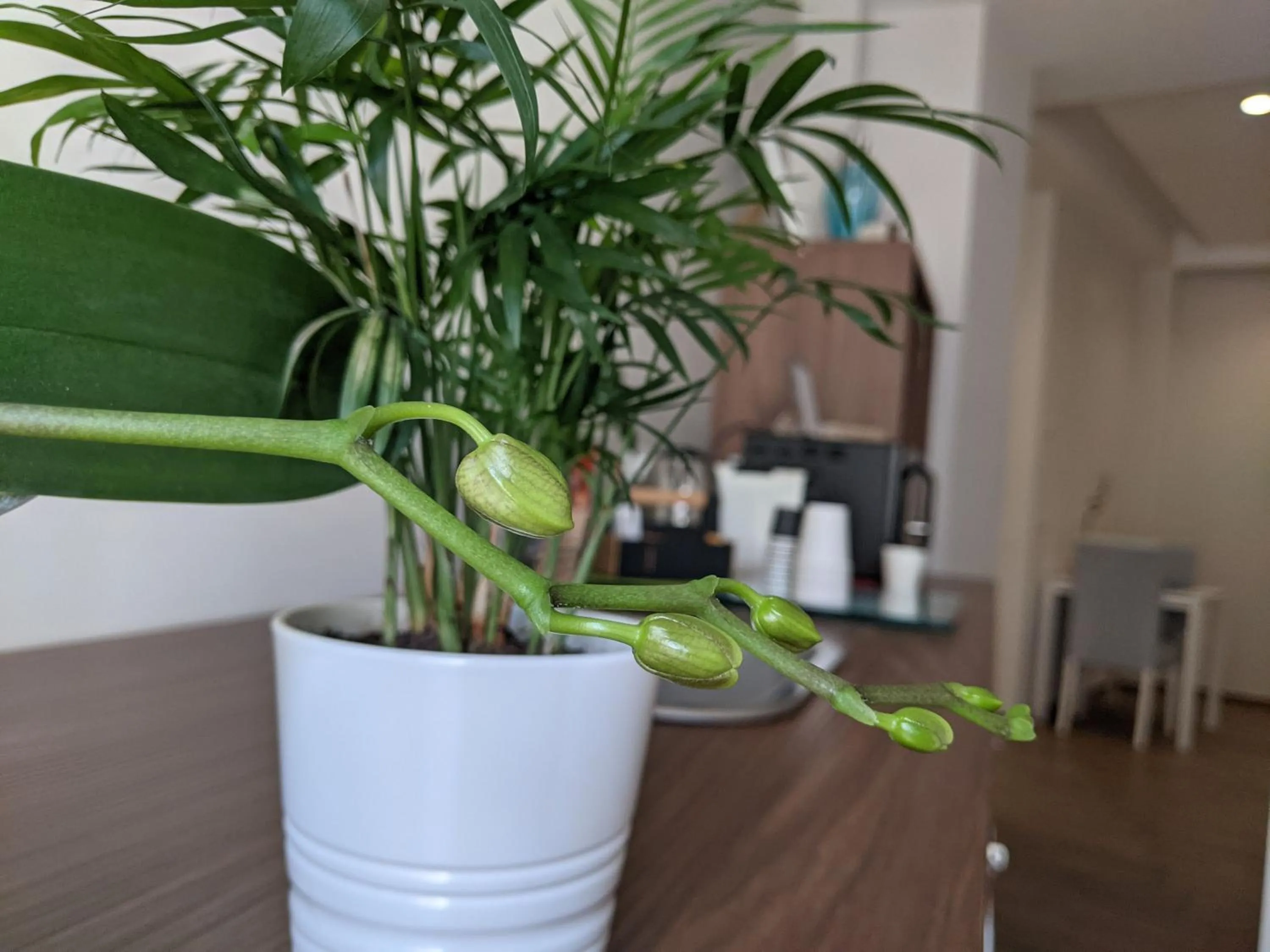 Decorative detail in gia'Notte BB Salerno Centro by ElodeaGroup