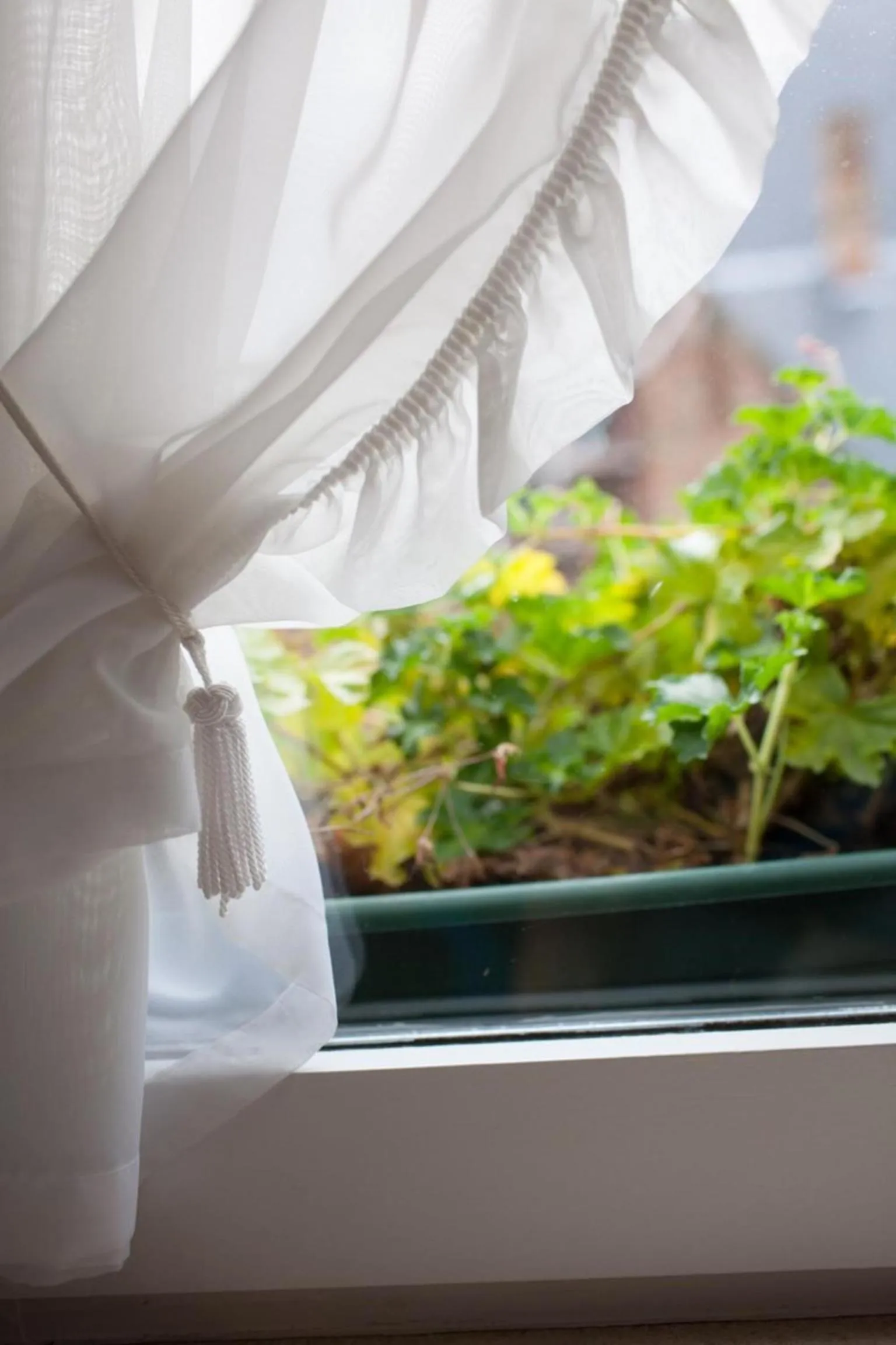 Decorative detail in Hotel de Pauw
