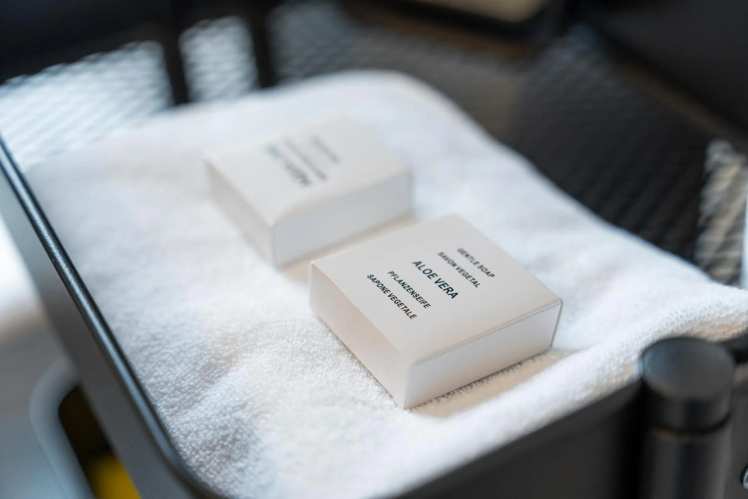 towels in Hotel de Pauw