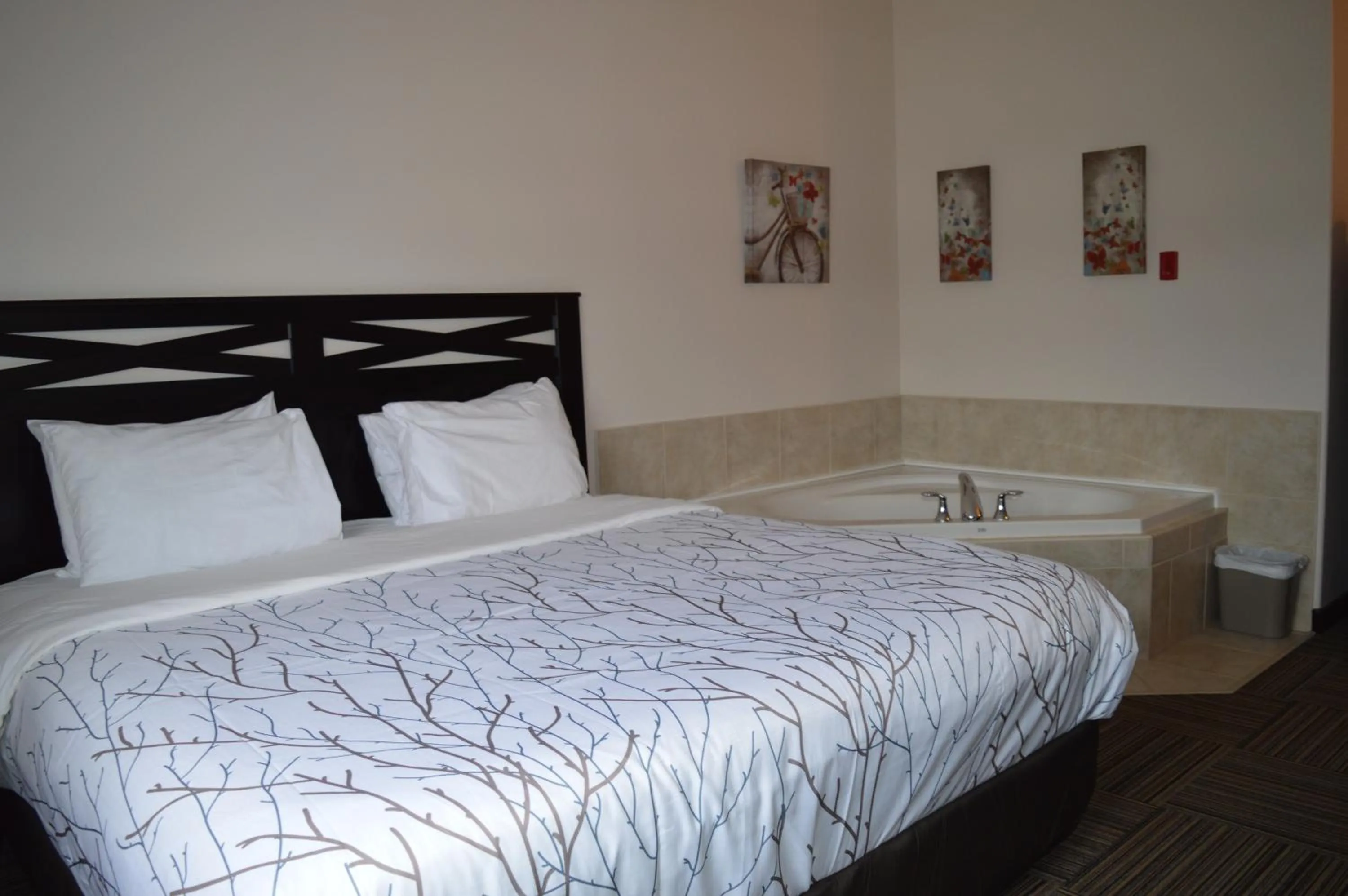 Bed in Auberge MacDonald Guest Inn