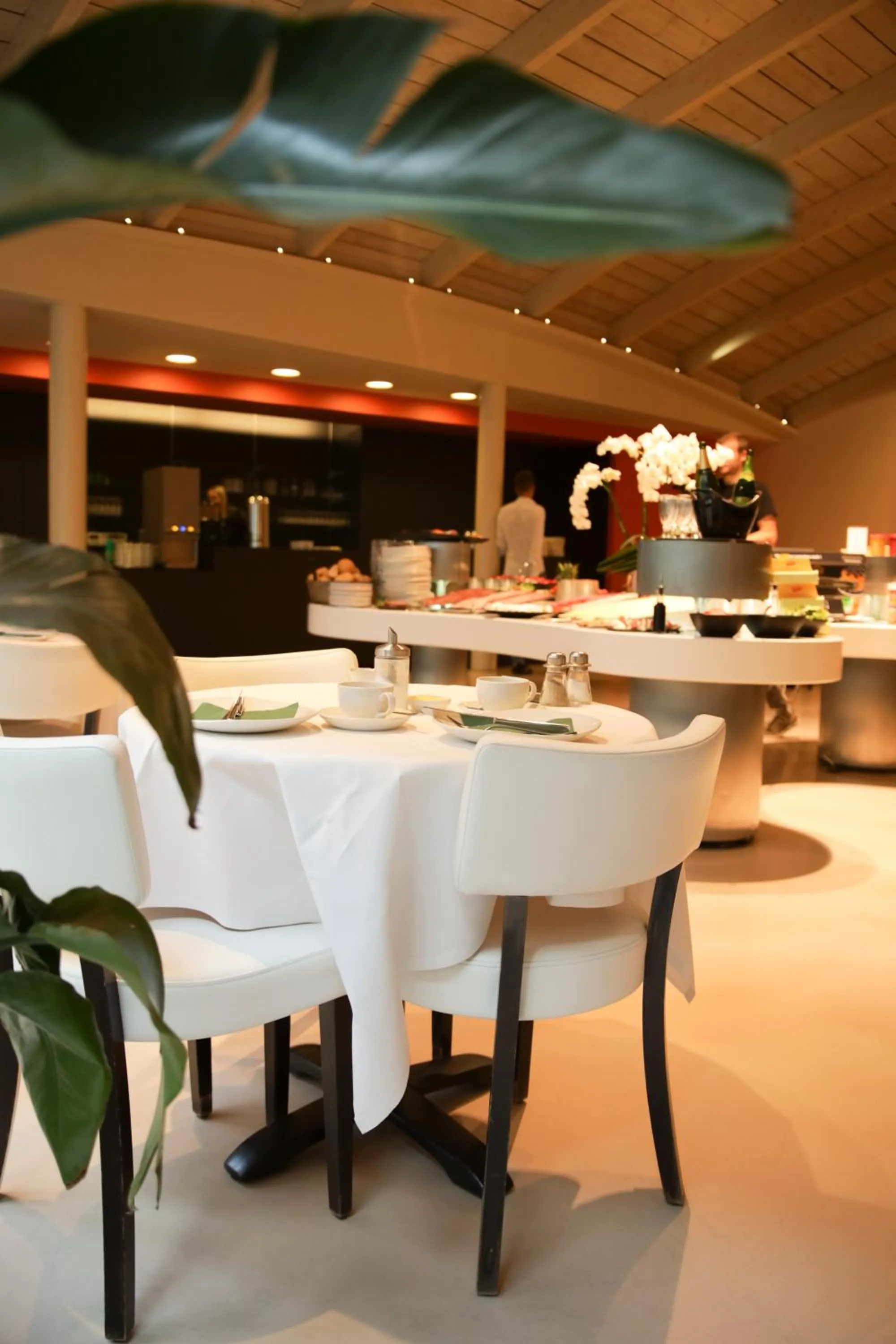 Breakfast in Alfa Inn