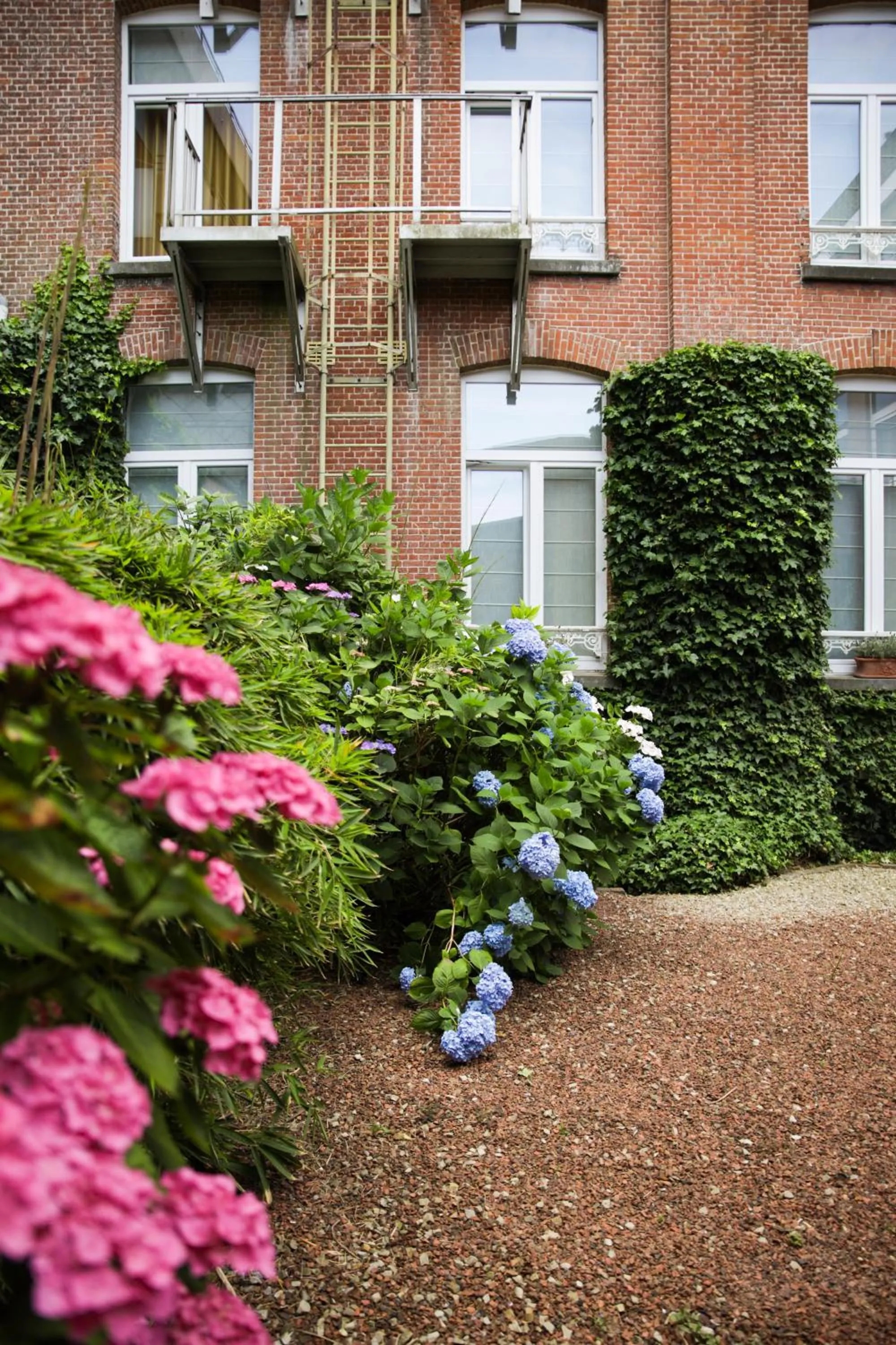 View (from property/room) in Alfa Inn