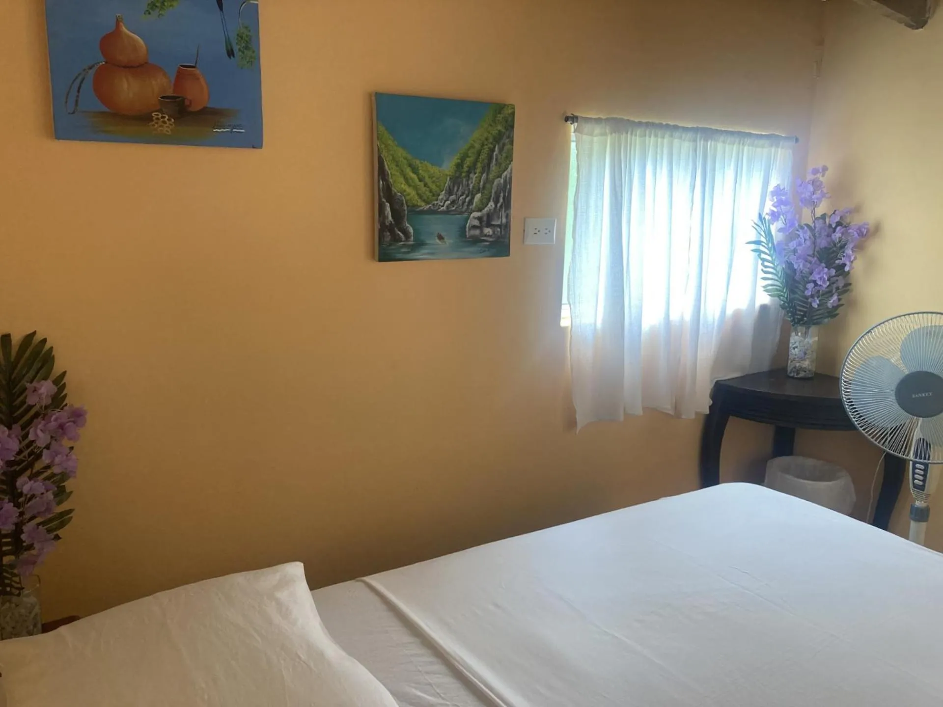 Bed in Hostel Julieta