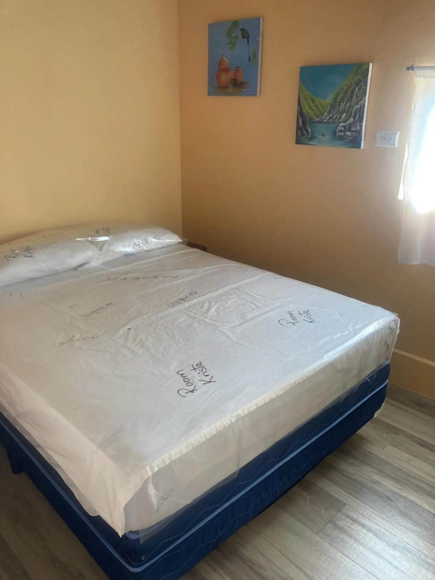 Bed in Hostel Julieta