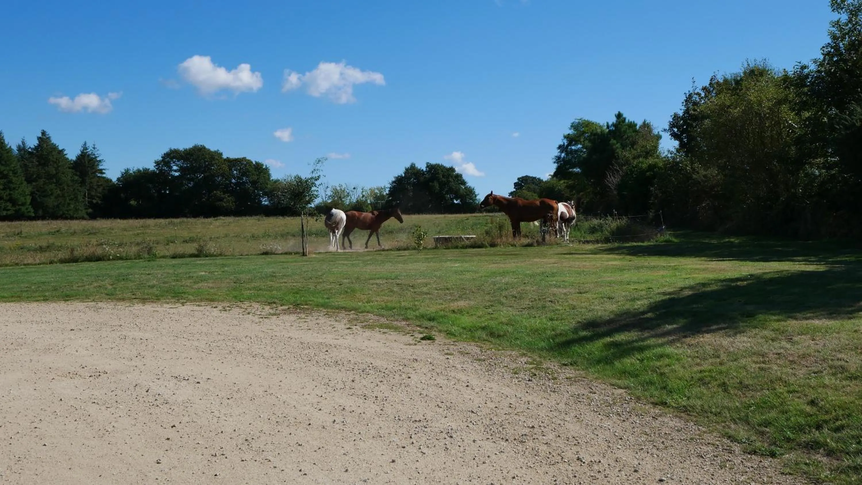Animals in Les chambres du Manoir de Kerhel