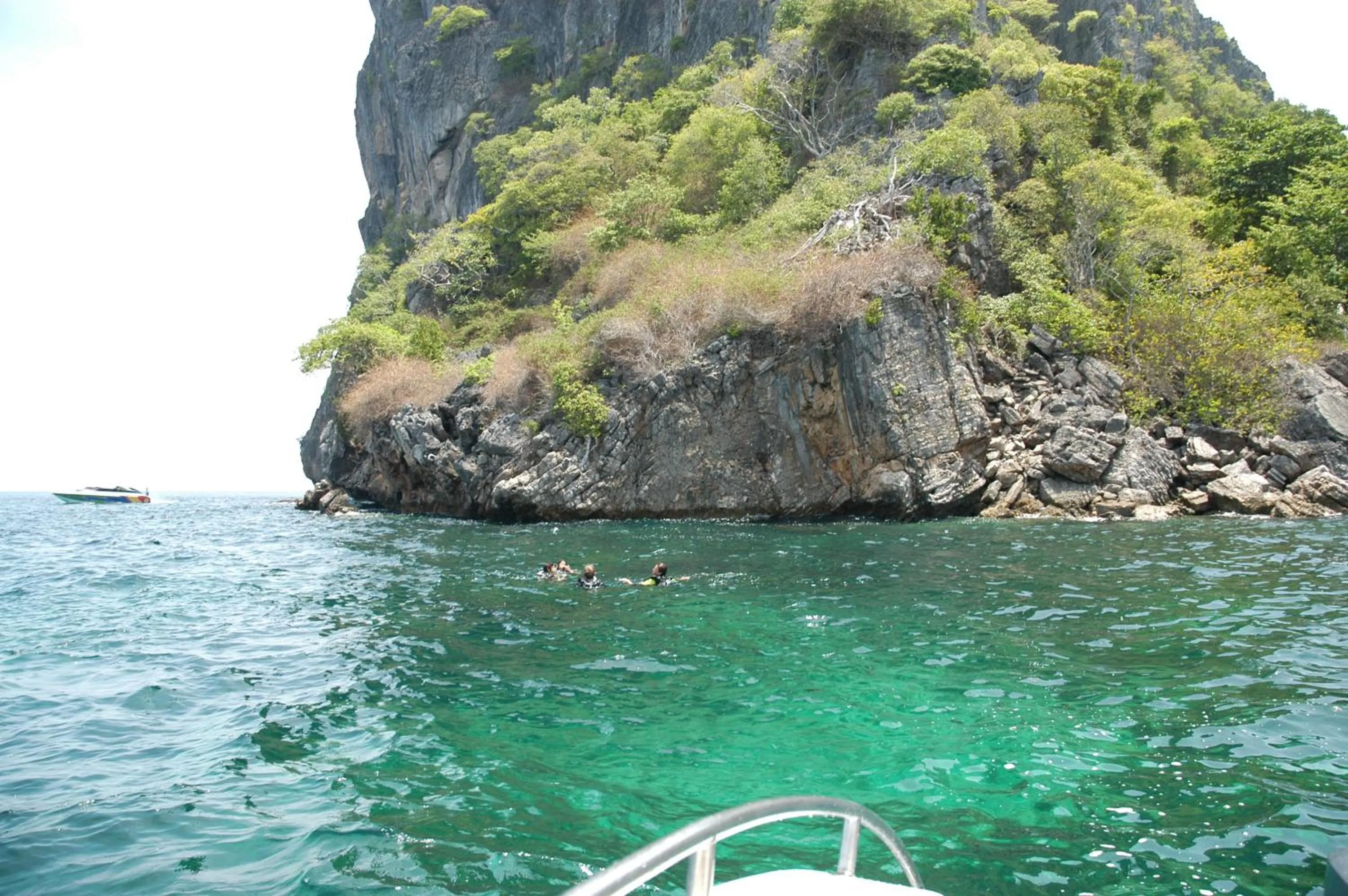 Snorkeling in Andaman Sunflower
