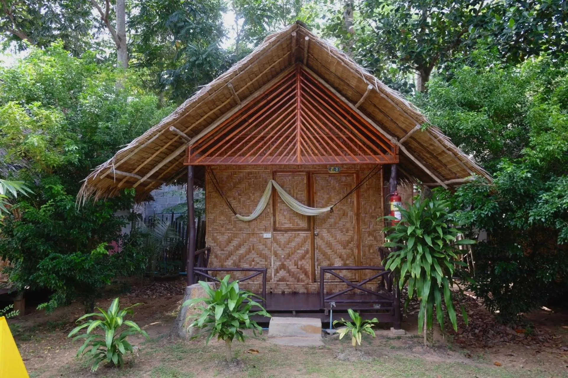 Other in Andaman Sunflower