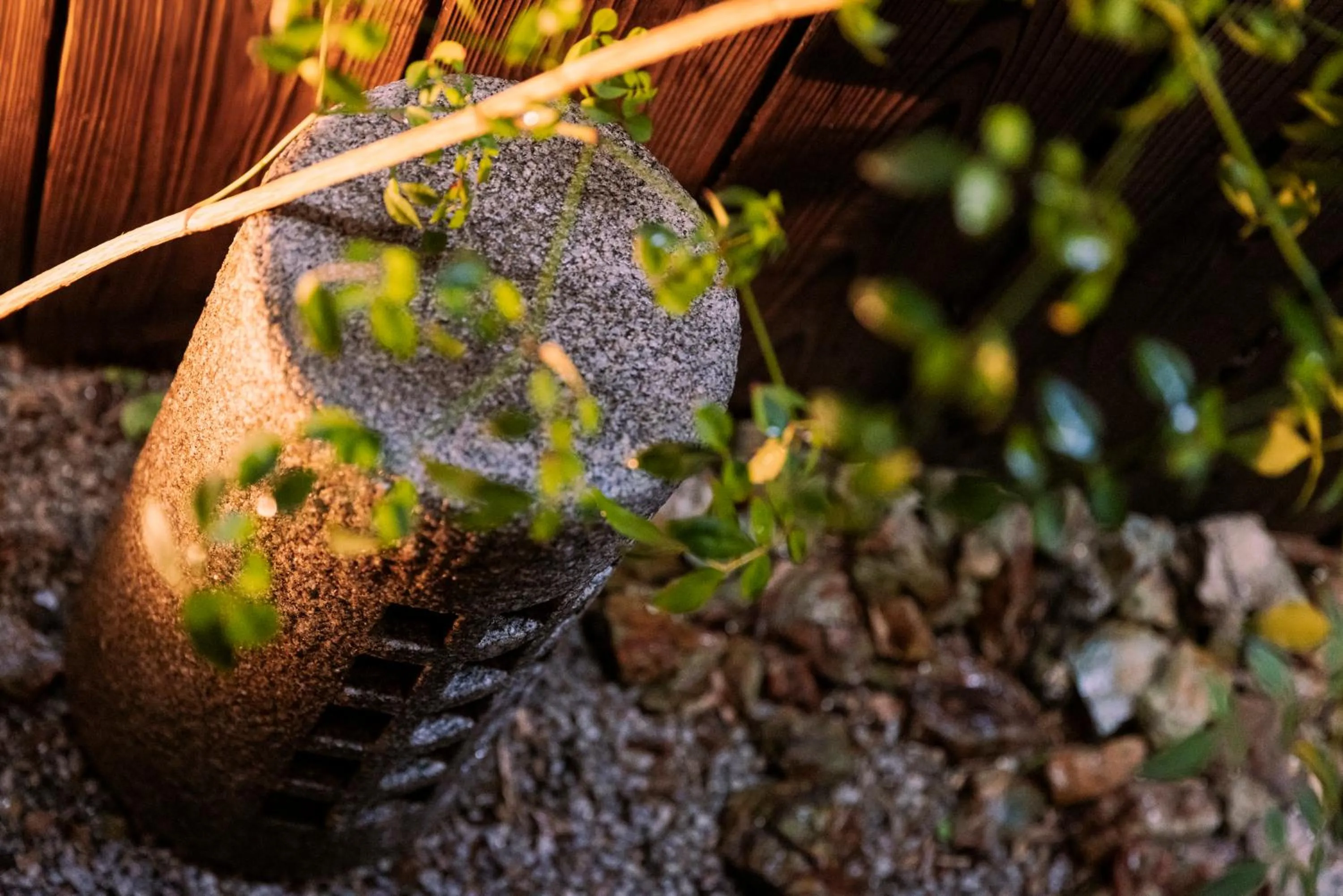 Garden in Rinn Kujoharikoji 59