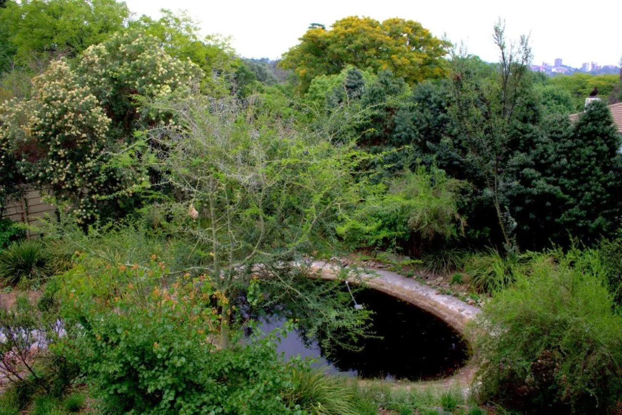 Garden view in Wild Olive Executive Suite