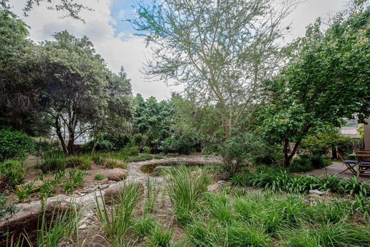 Natural landscape in Wild Olive Executive Suite