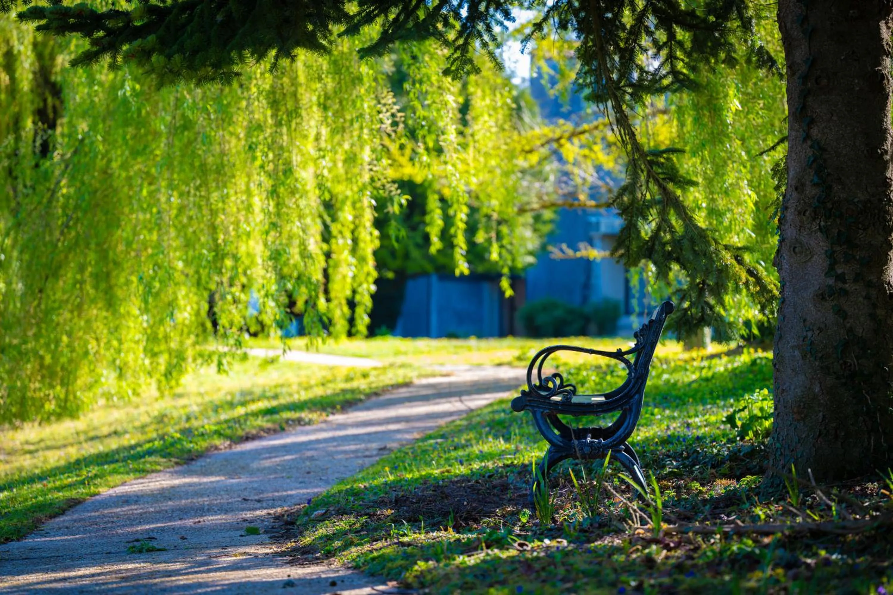 Relais du Bois Saint Georges - Hôtel de Charme