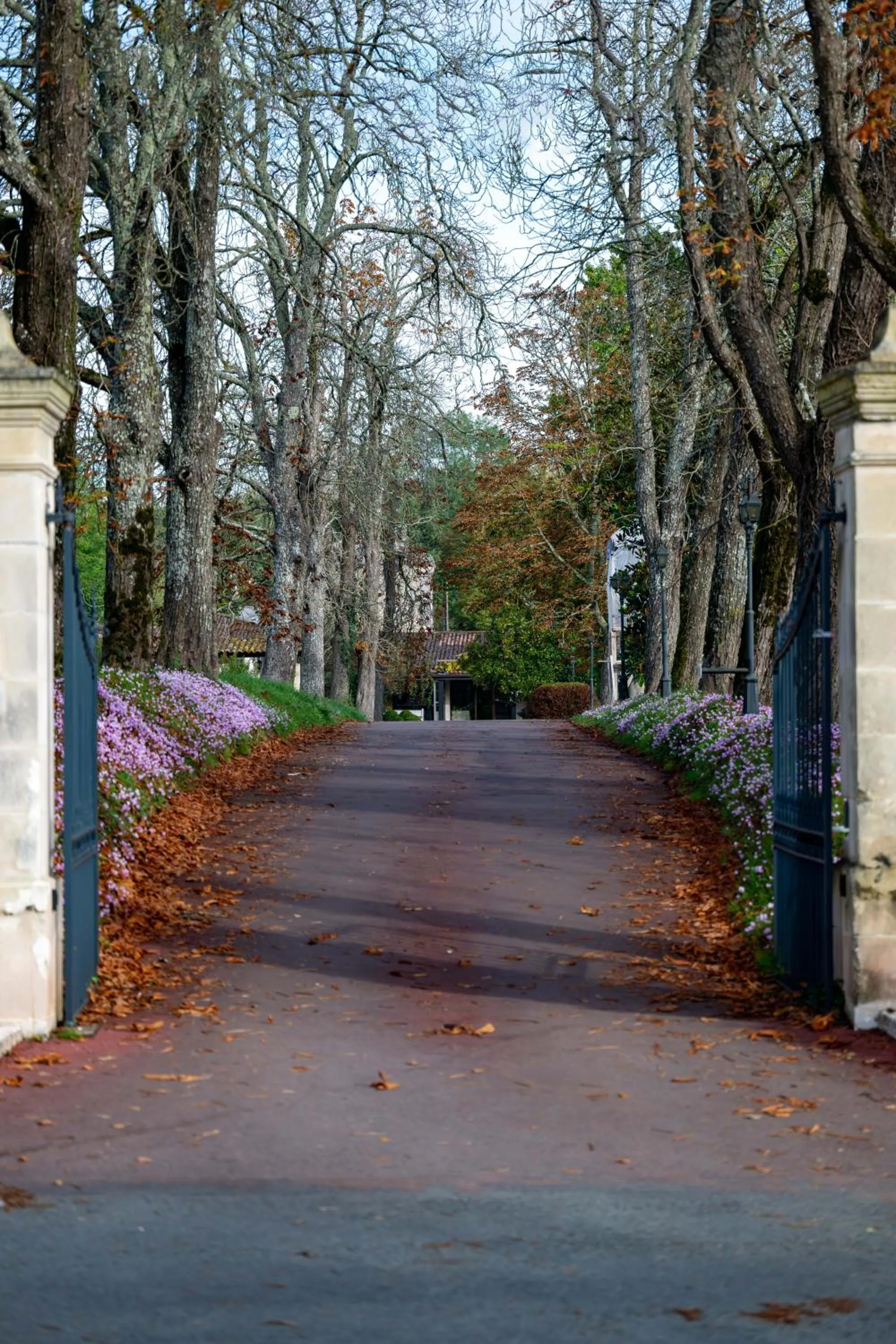 Facade/entrance in Relais du Bois Saint Georges - Hôtel de Charme