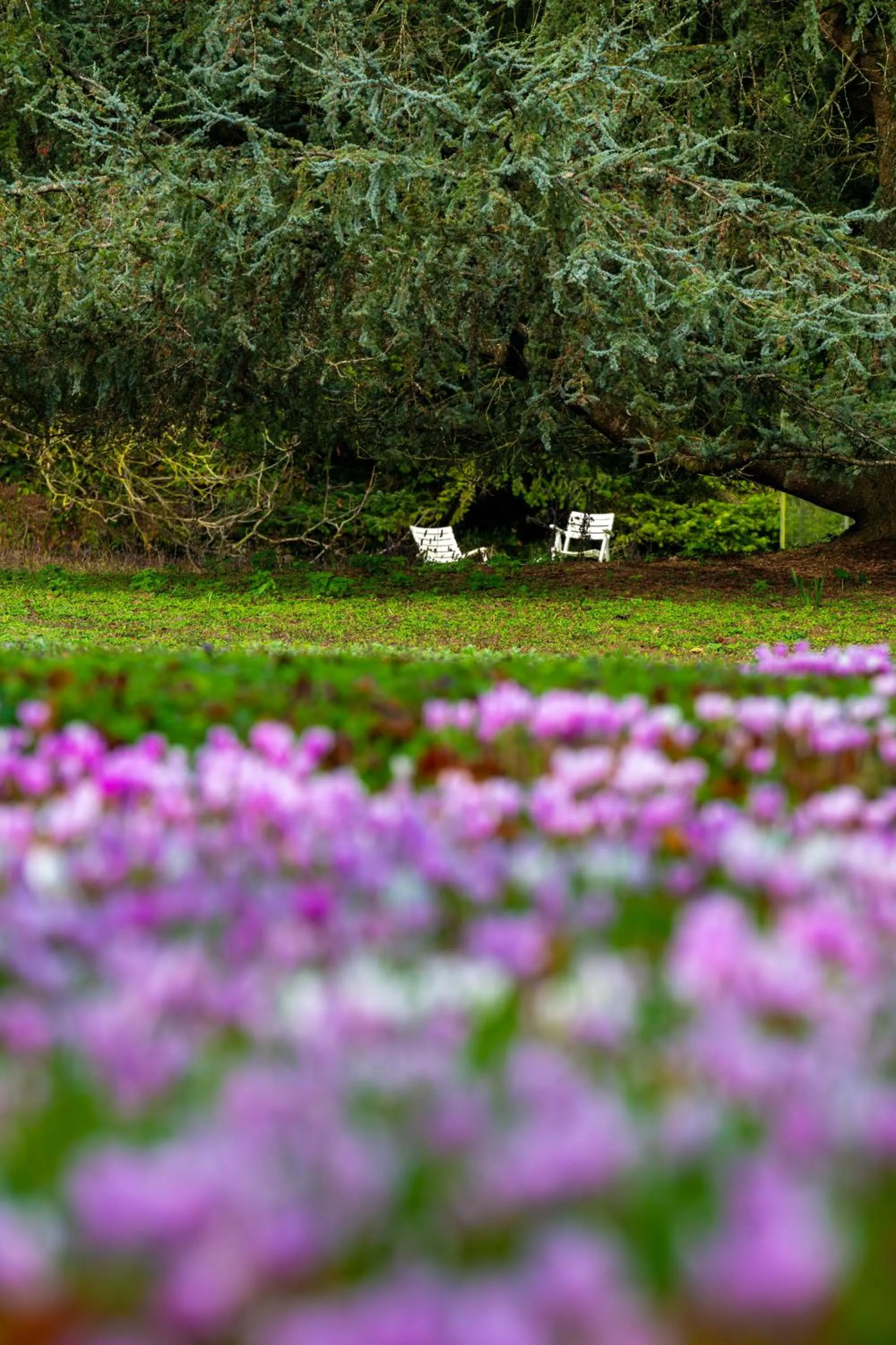 Natural landscape in Relais du Bois Saint Georges - Hôtel de Charme