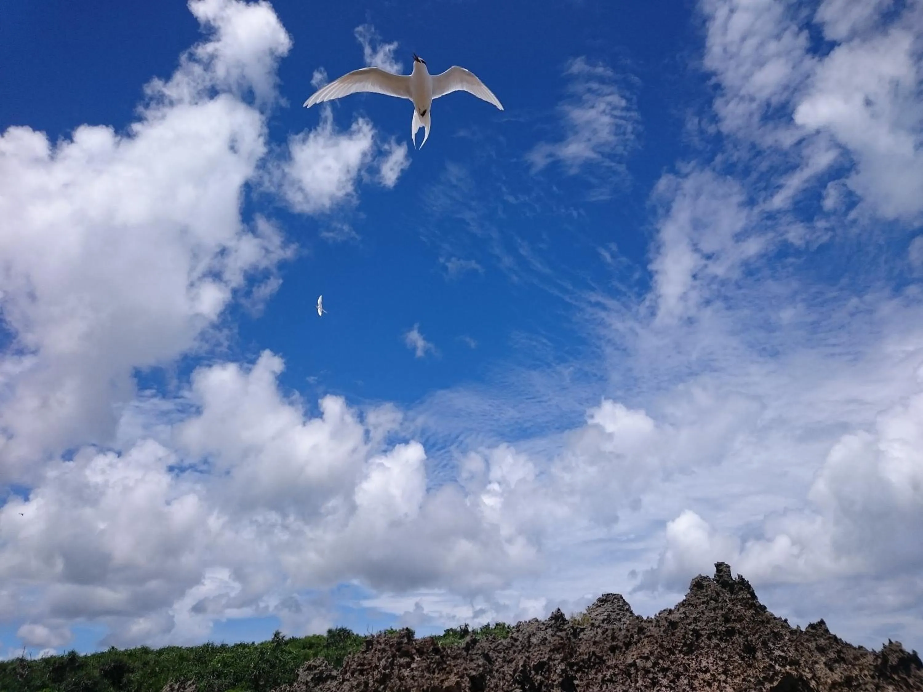 Nearby landmark in Kaeruya