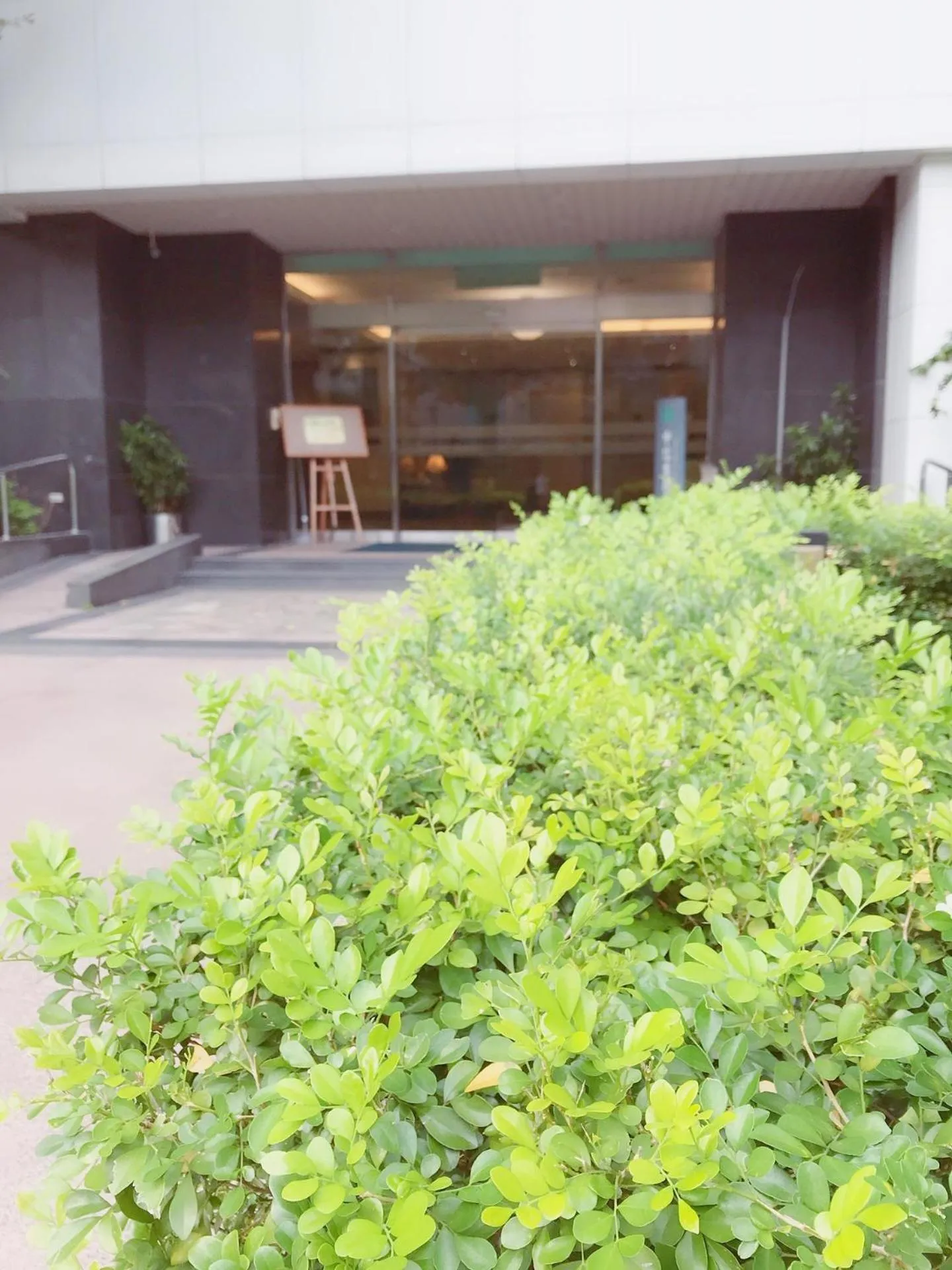 Breakfast in The Koos Hotel