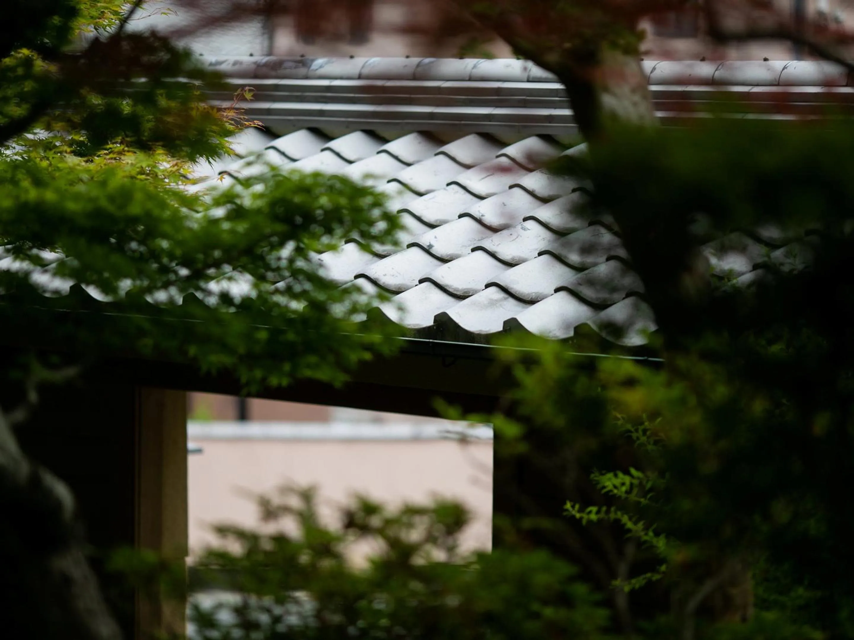 Area and facilities in Ryotei Jyusouya