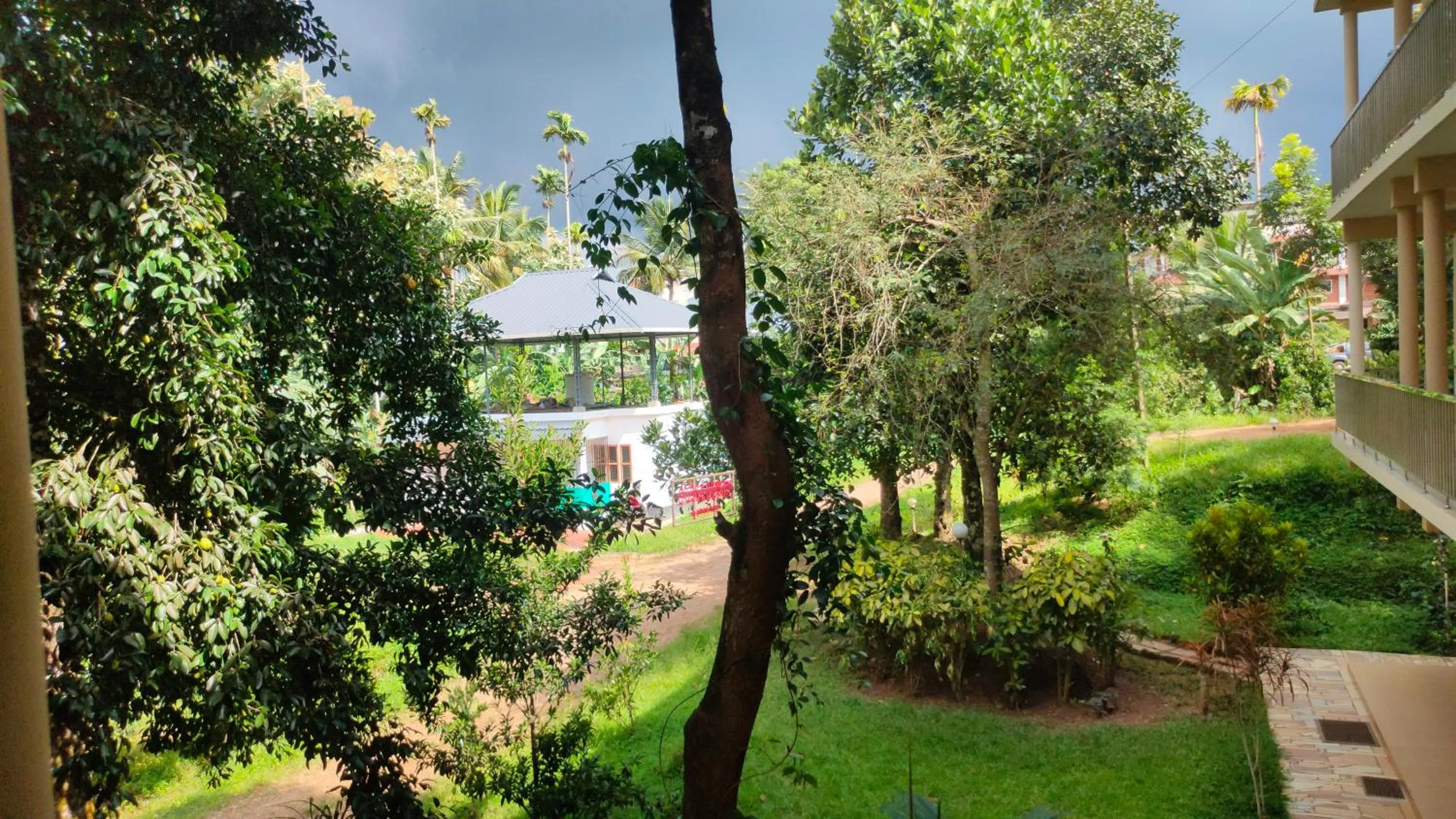 View (from property/room) in Gooseberry Family Retreats - Wayanad by KARAPUZHA RESORTS