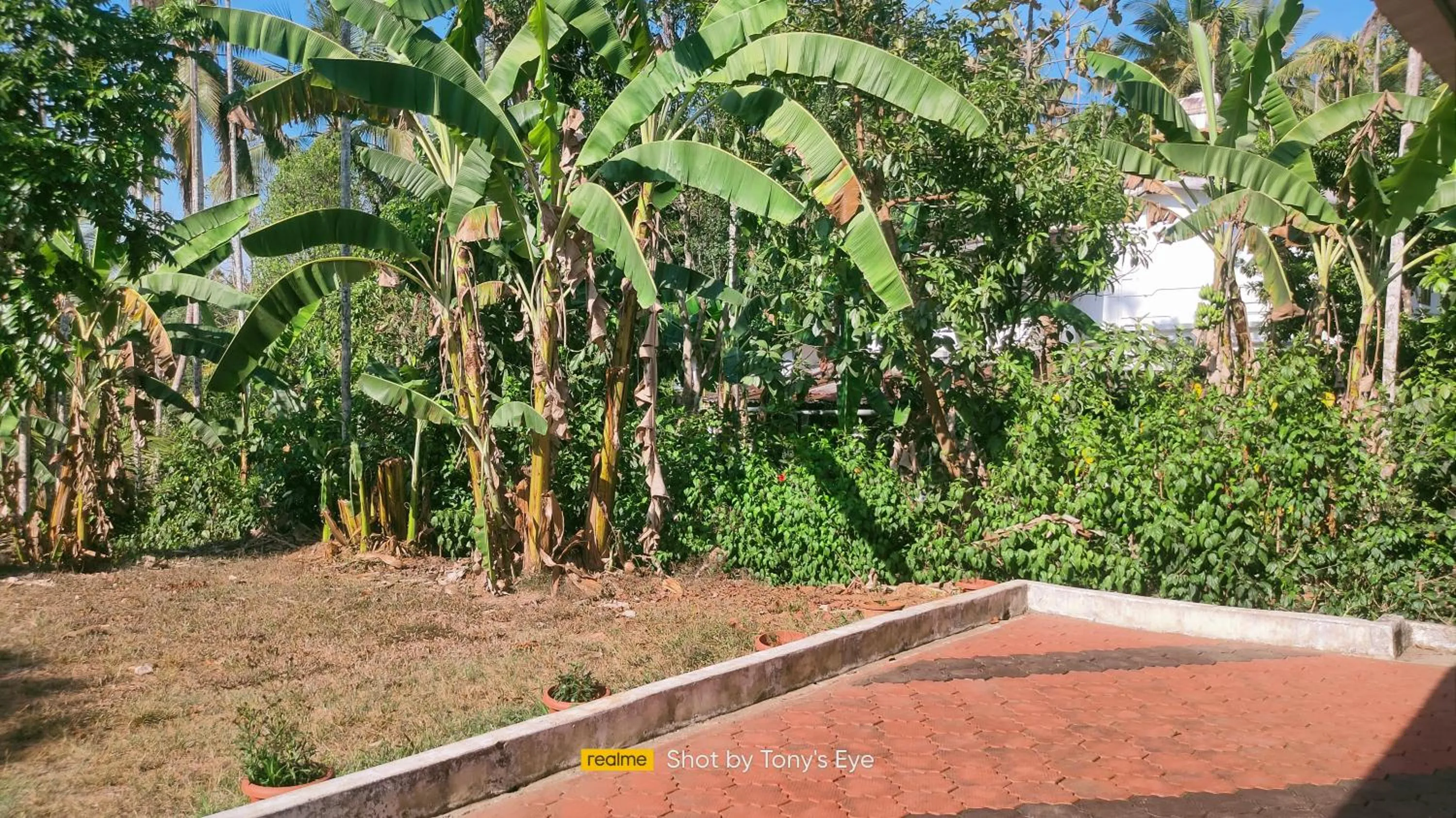 View (from property/room) in Gooseberry Family Retreats - Wayanad by KARAPUZHA RESORTS