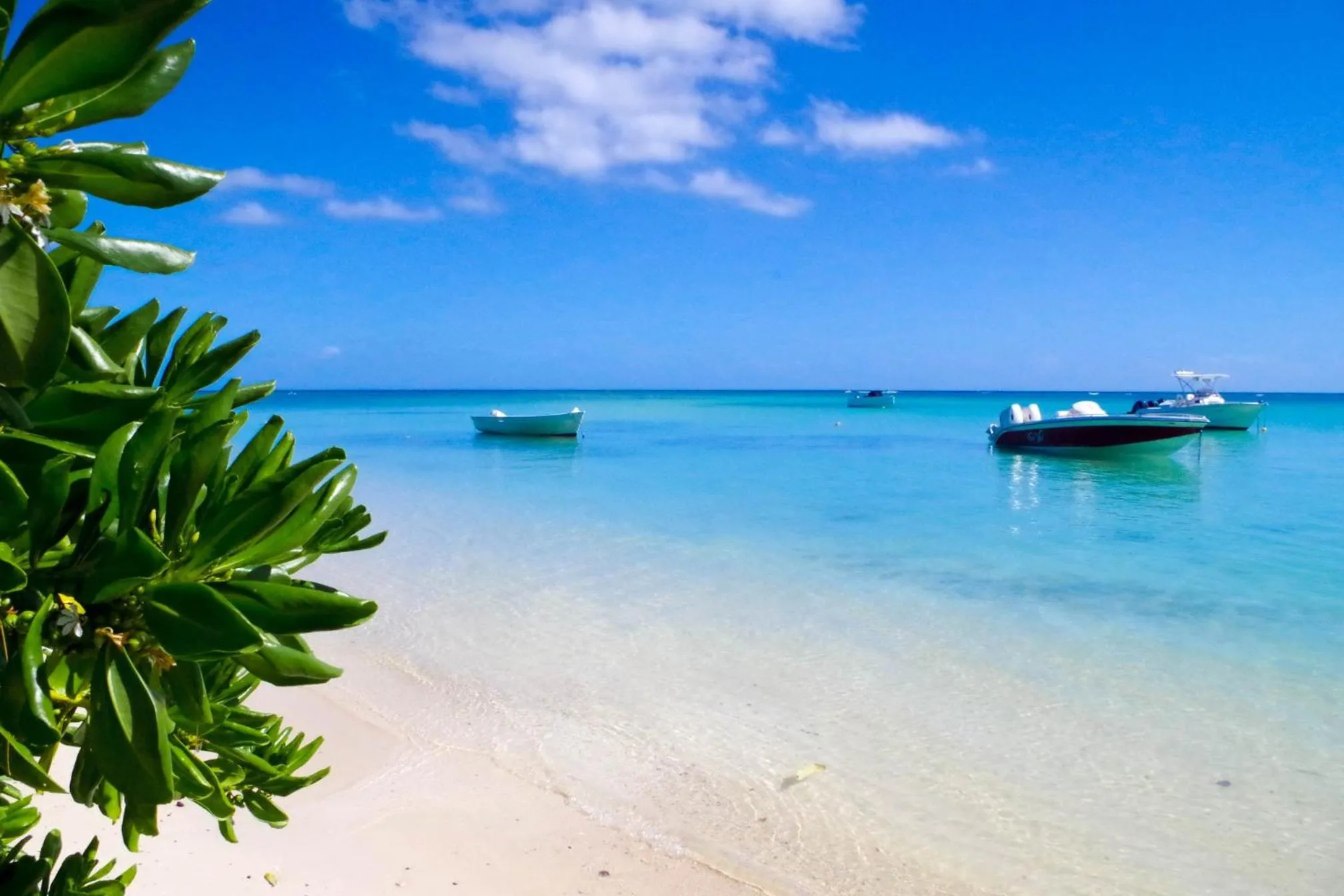 Beach in Nitzana Residences & Restaurant