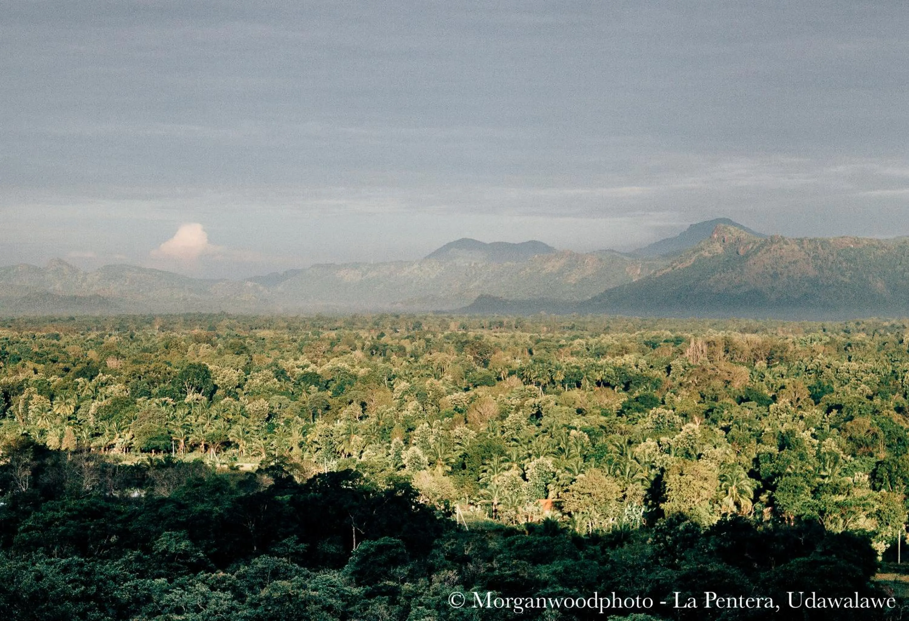 Activities in La Pentera