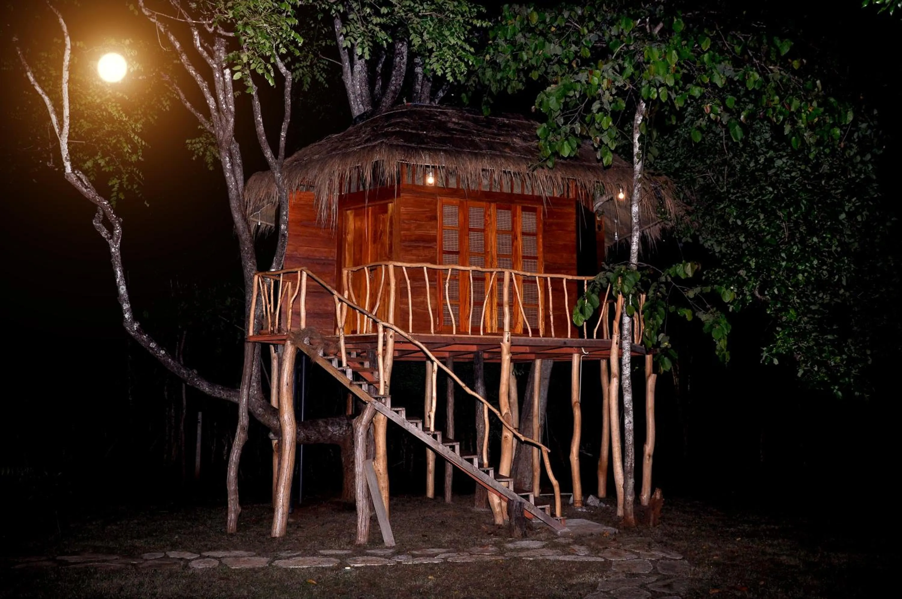 Bird's eye view in La Pentera