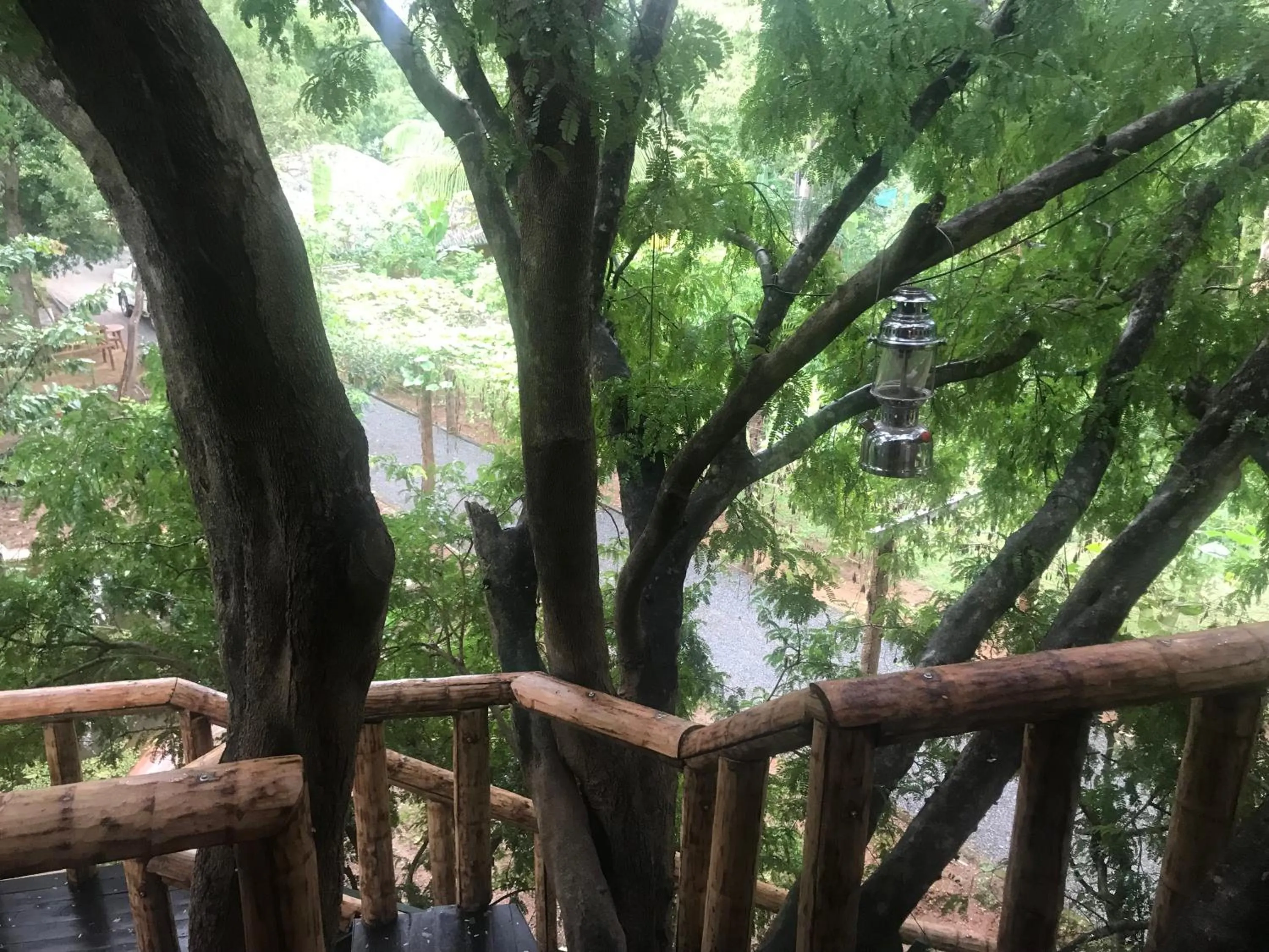 Facade/entrance in La Pentera