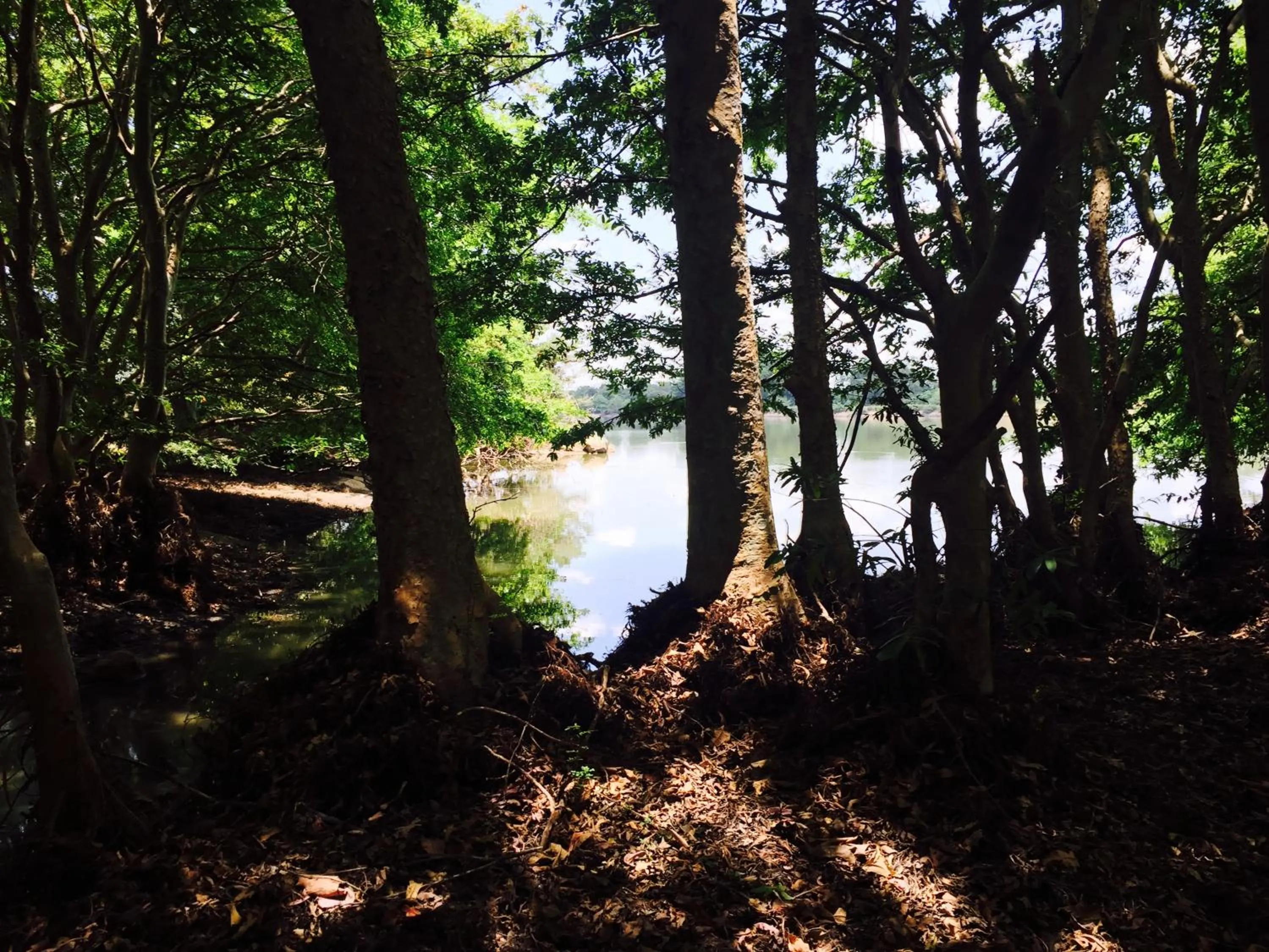 Nearby landmark in La Pentera