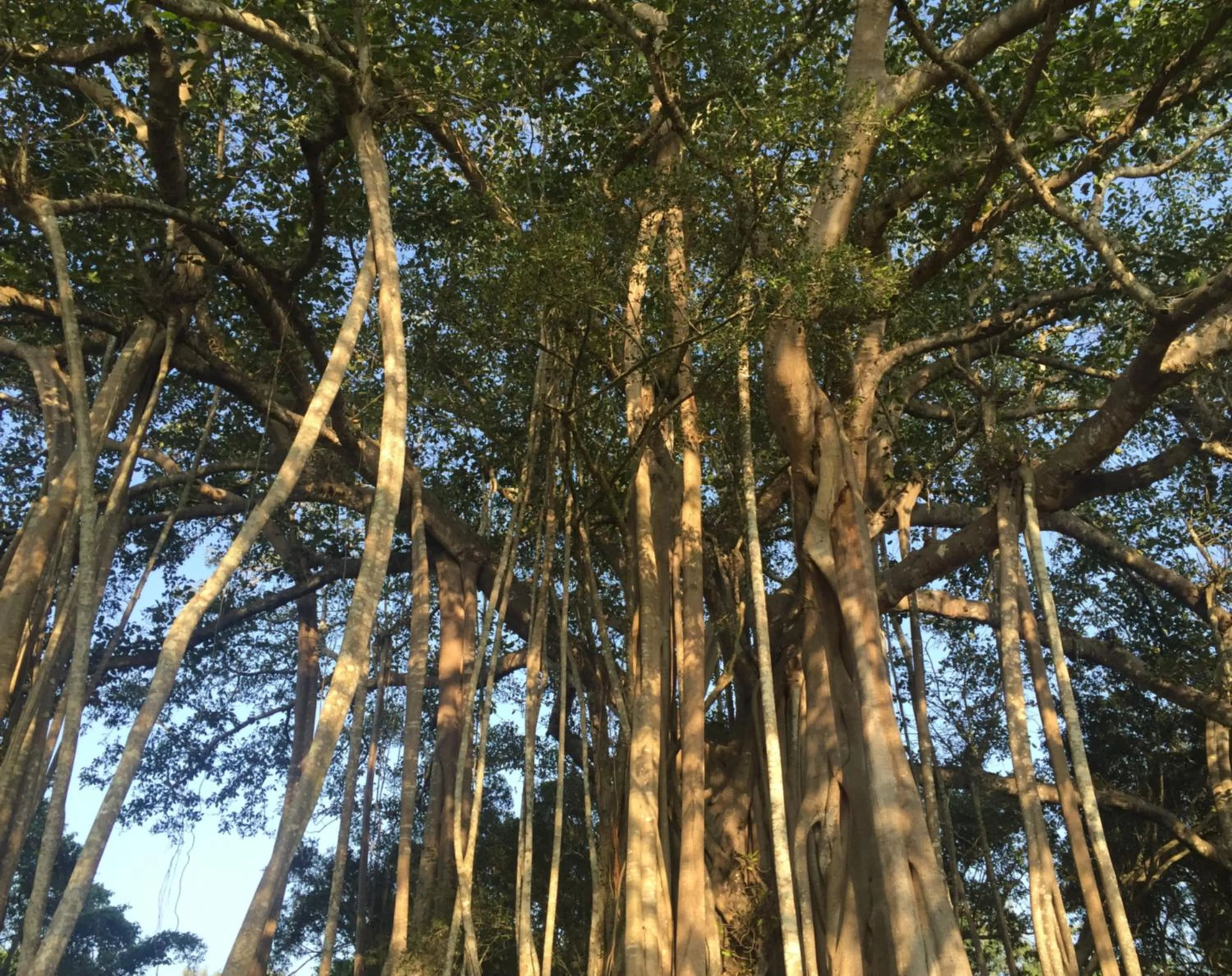 Property building in La Pentera