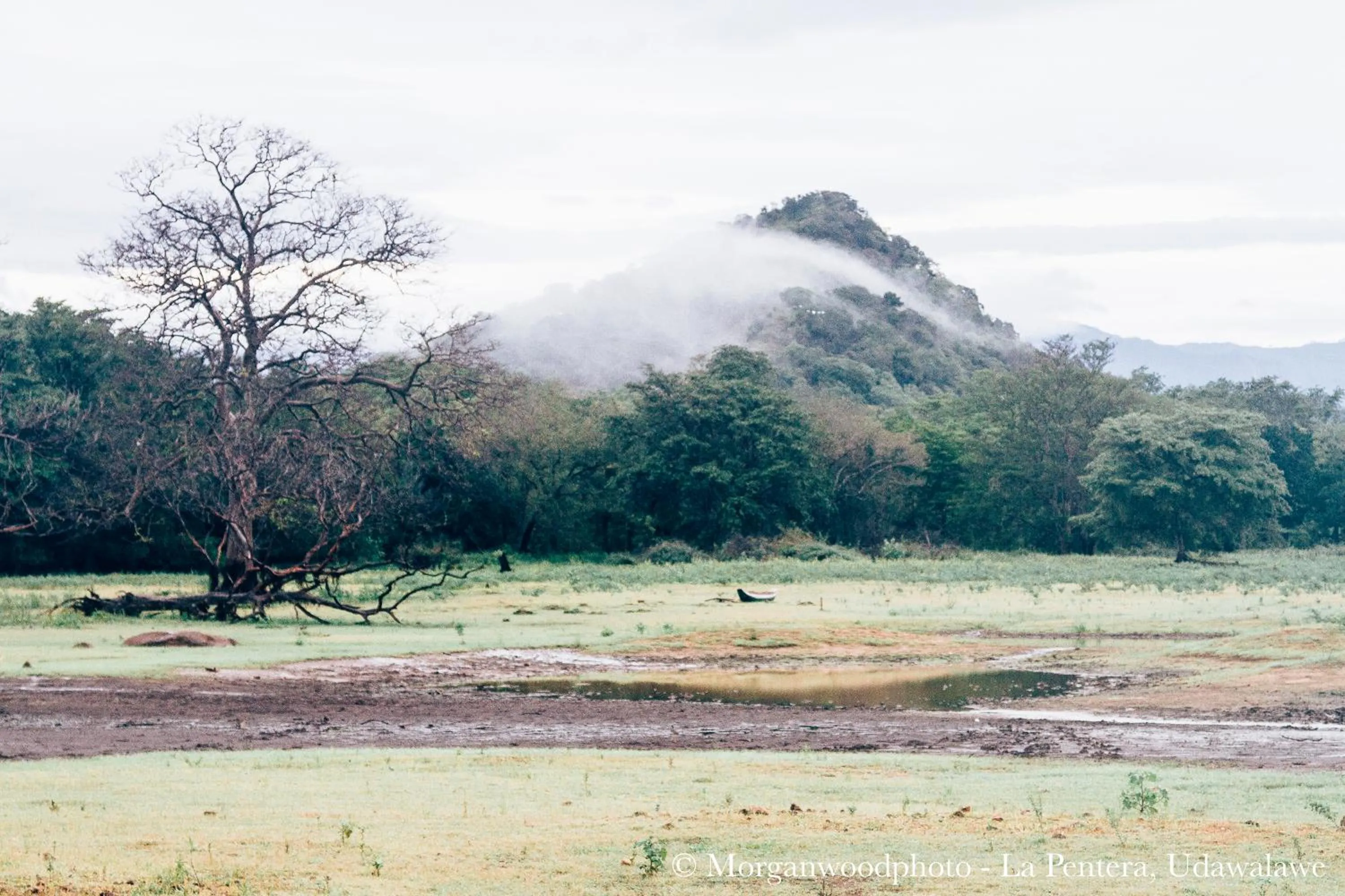Activities in La Pentera