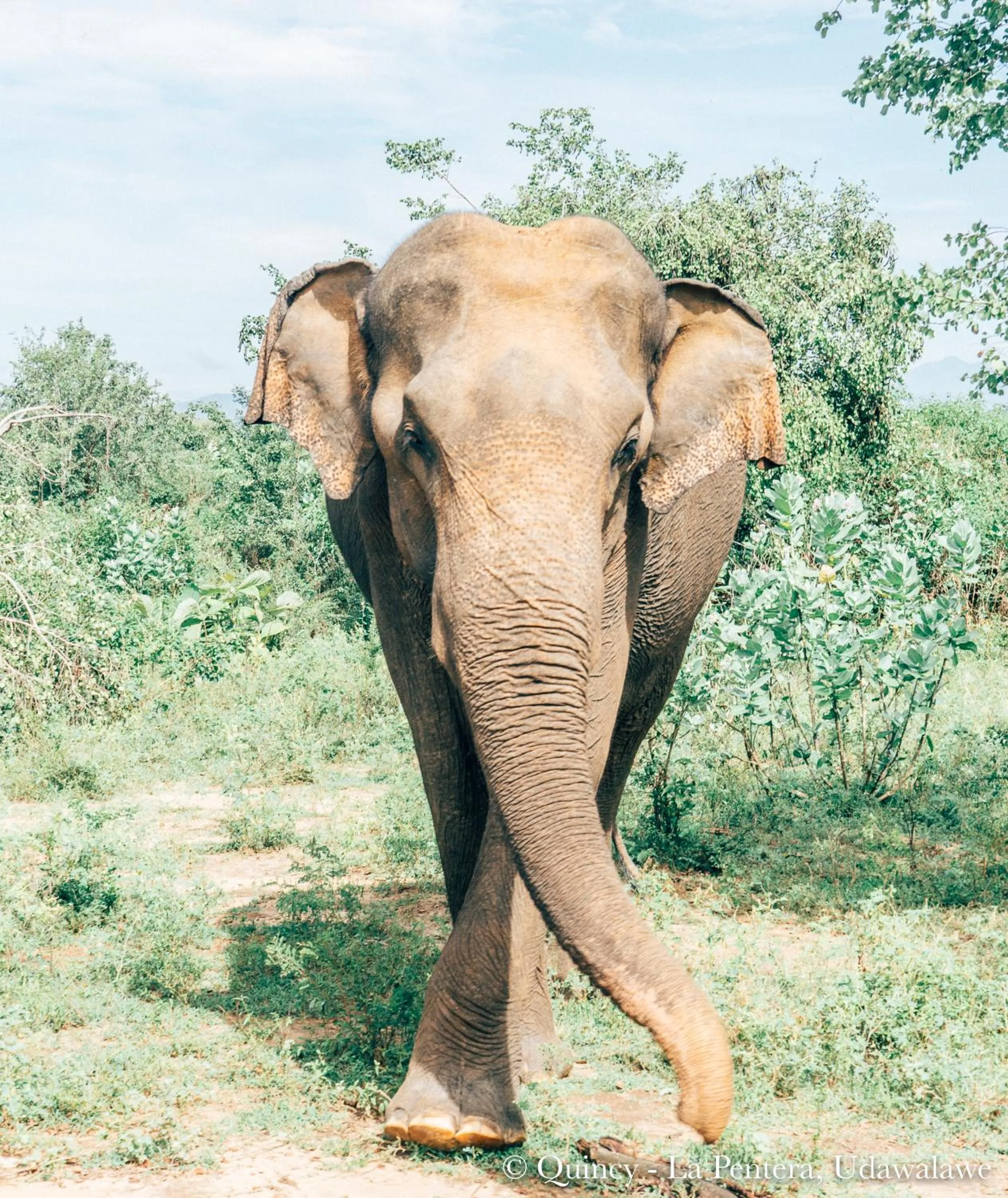 Natural landscape in La Pentera