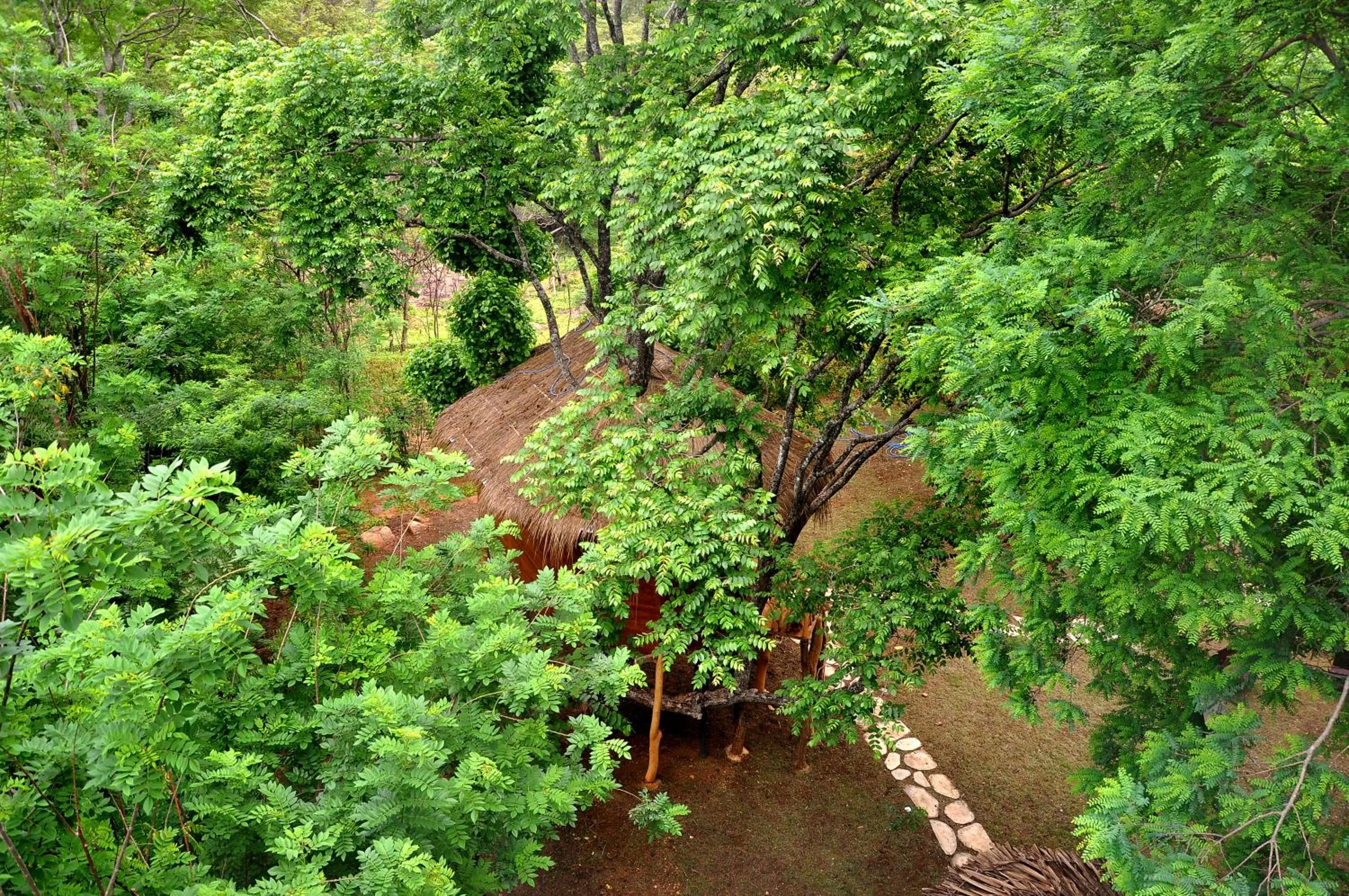 View (from property/room) in La Pentera