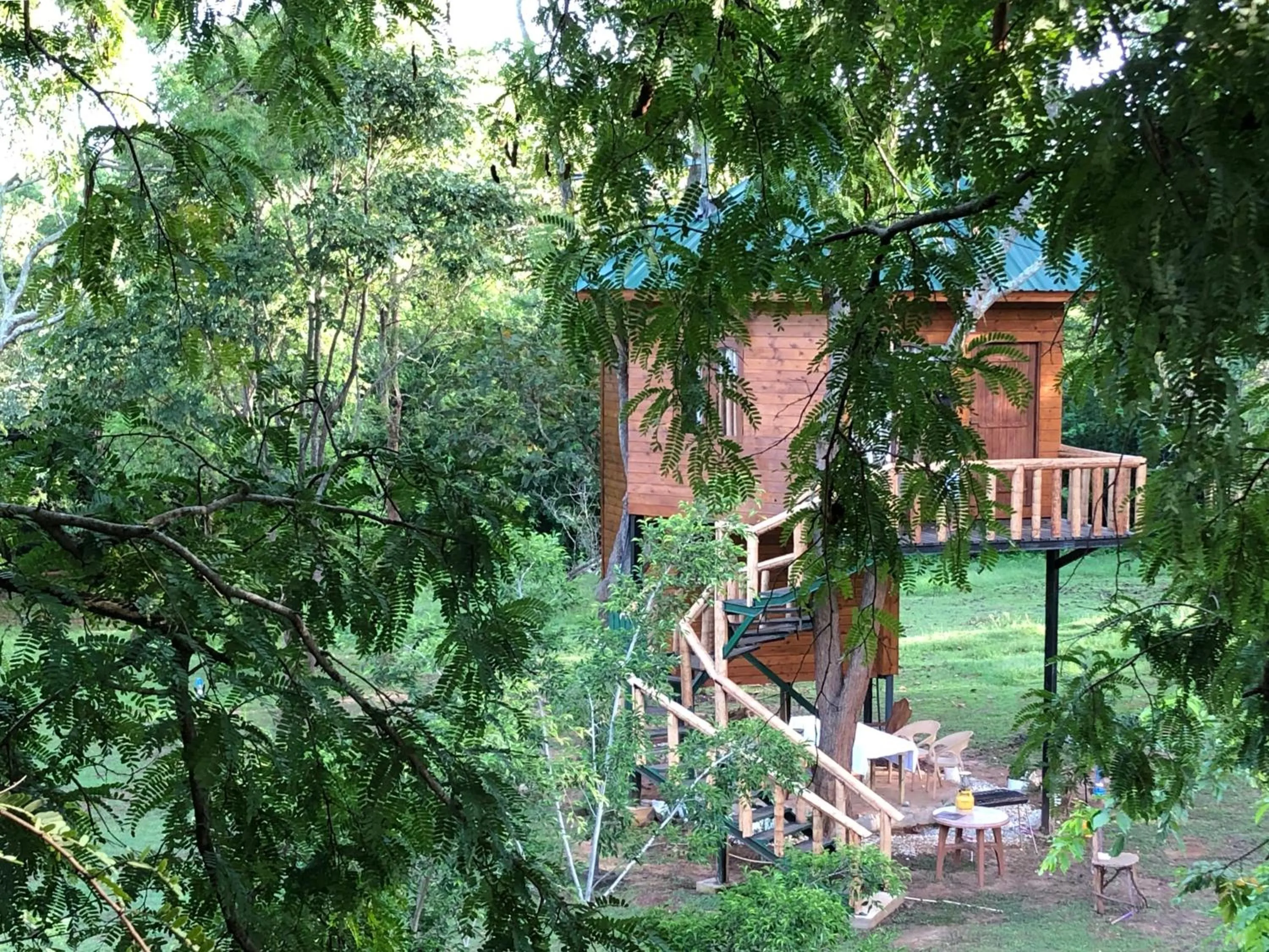 Garden view in La Pentera