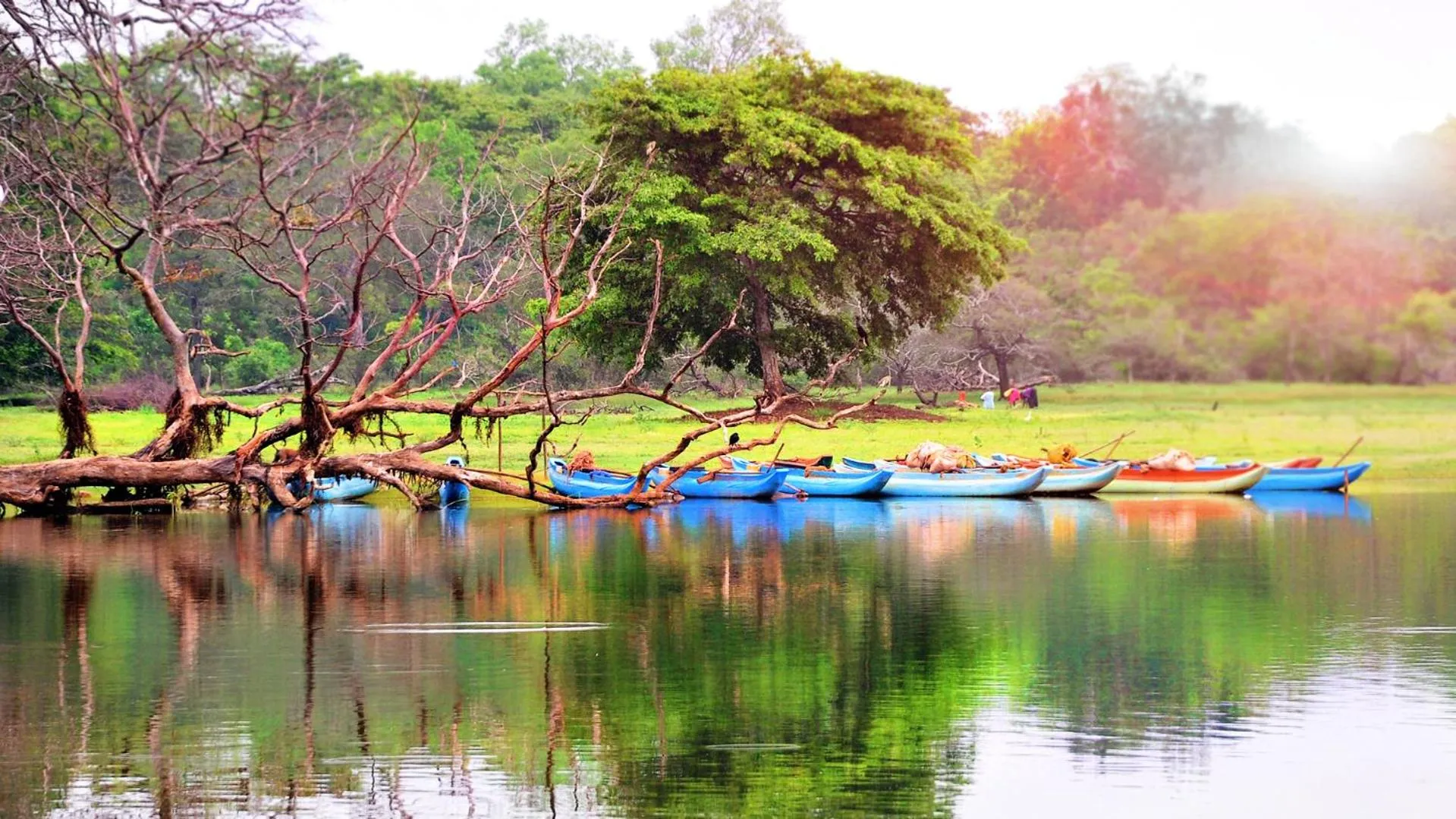 Fishing in La Pentera