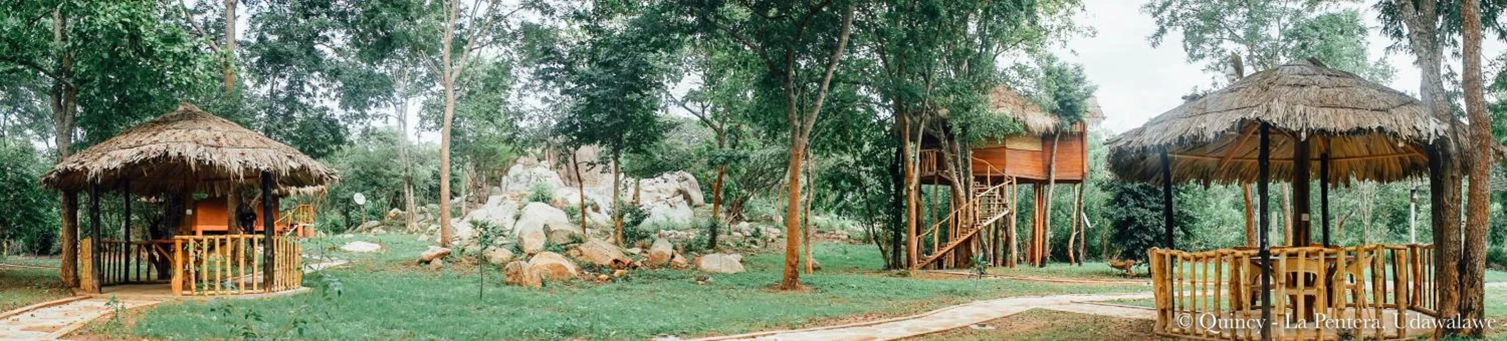 Garden view in La Pentera