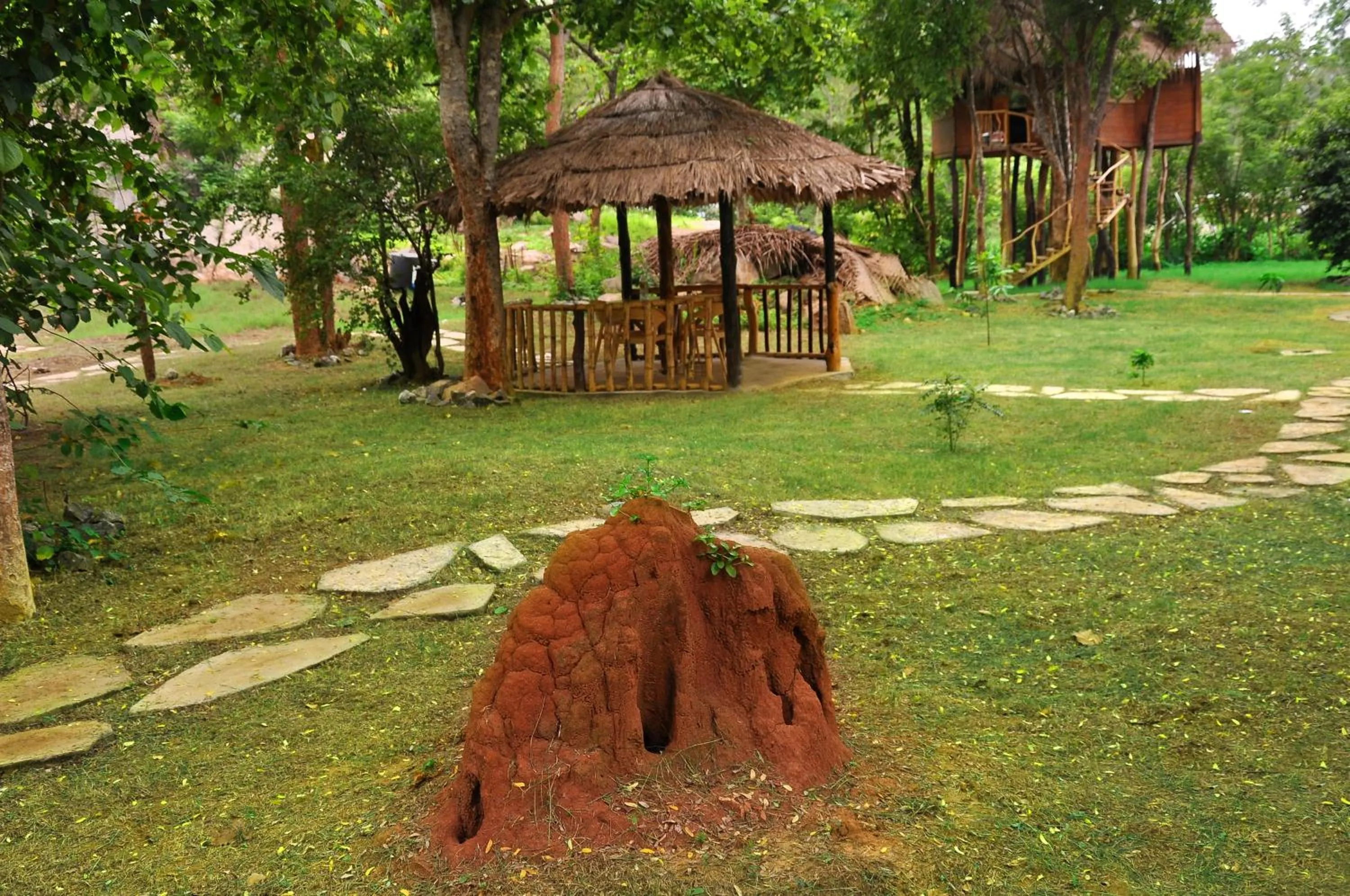 Garden in La Pentera