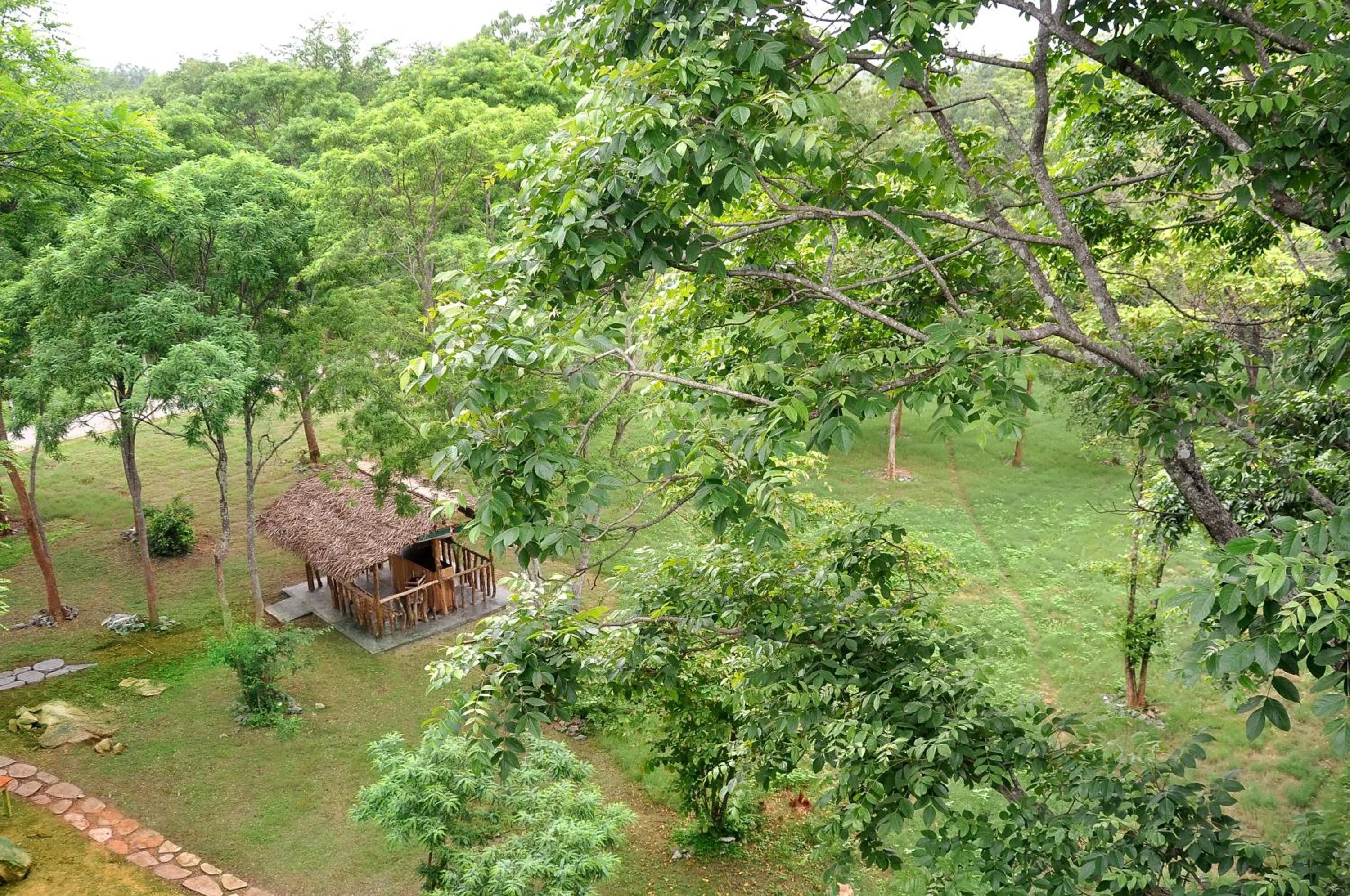 Garden in La Pentera