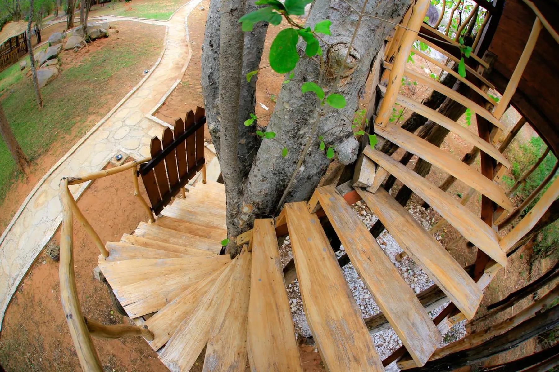 Facade/entrance in La Pentera
