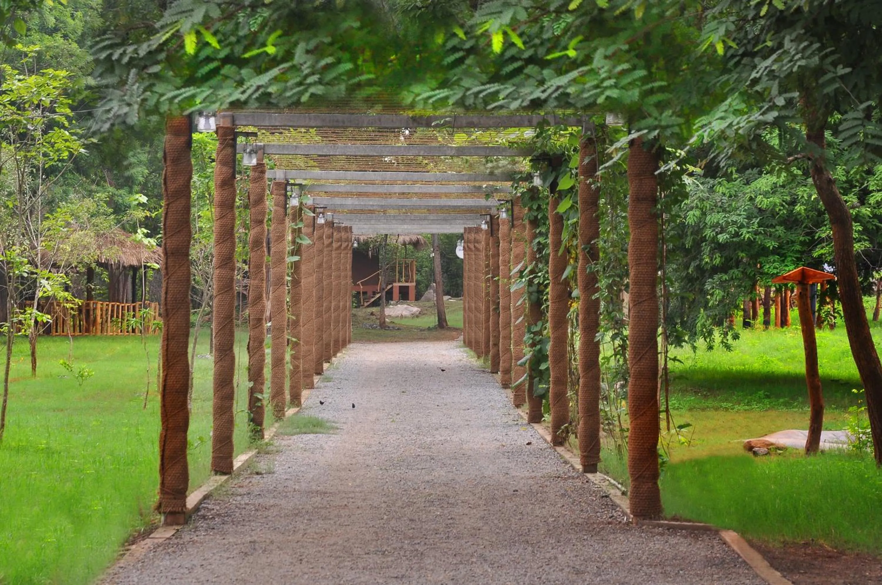 Garden in La Pentera