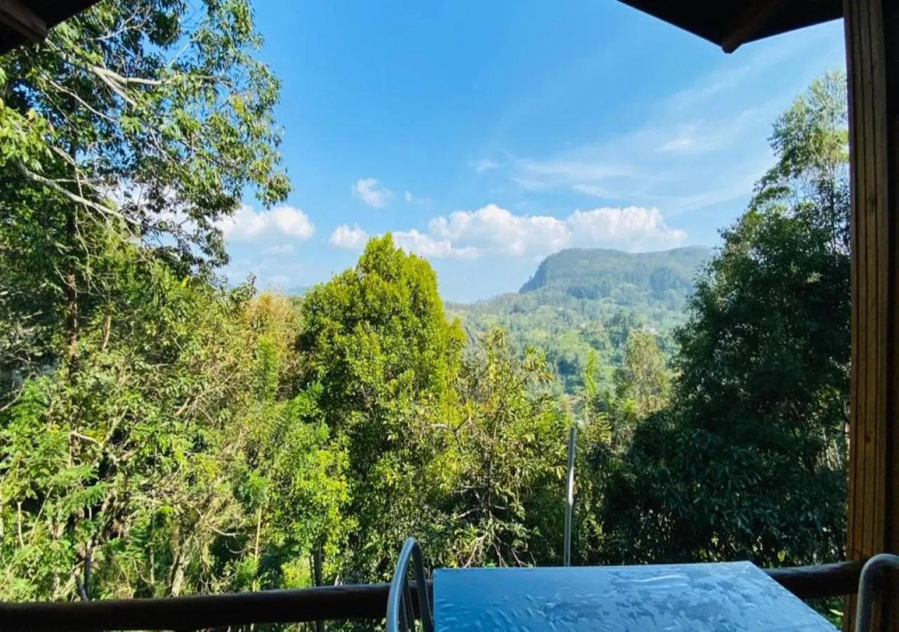 View (from property/room) in Daban Homestay Ella
