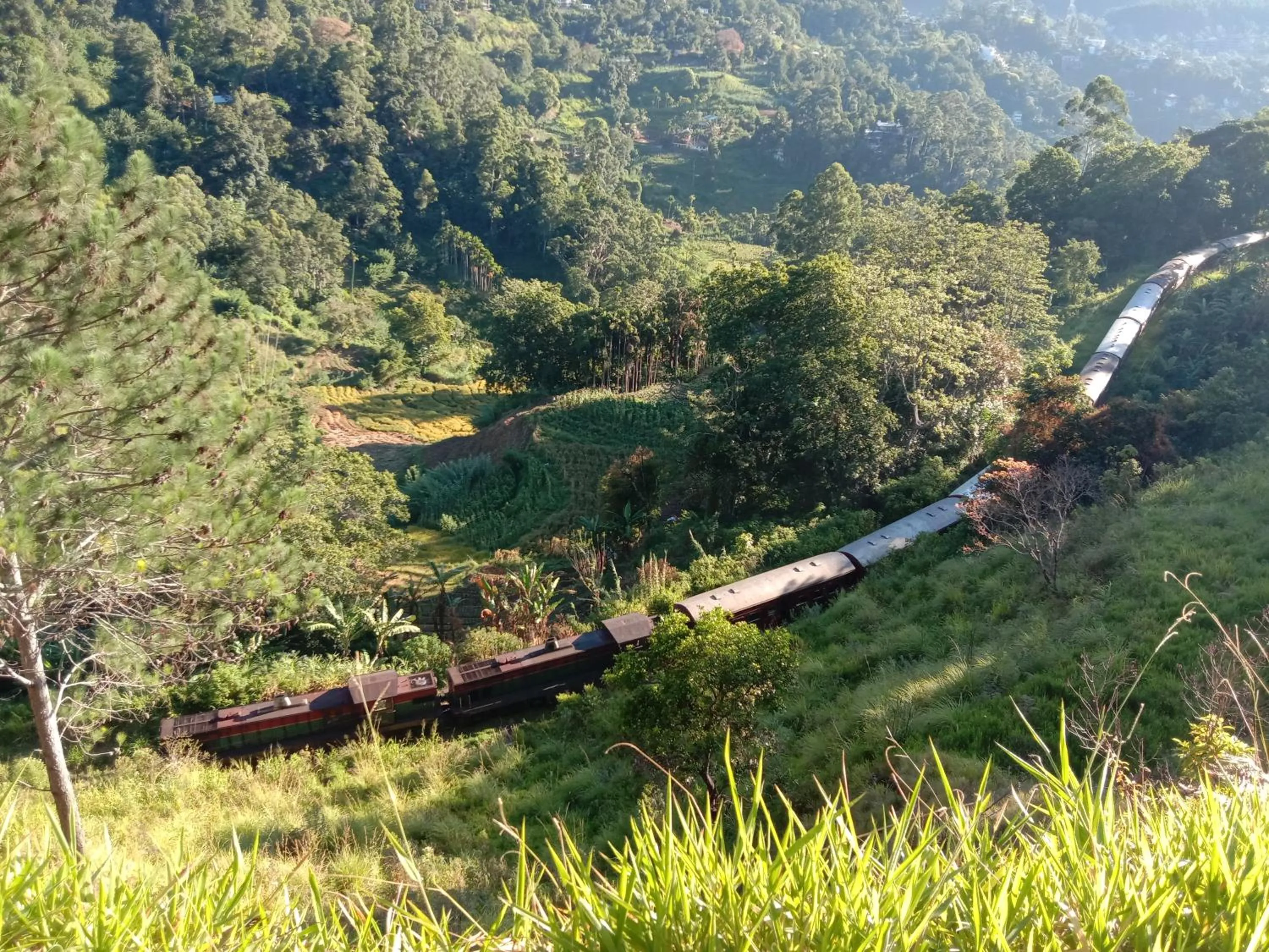 View (from property/room) in Daban Homestay Ella
