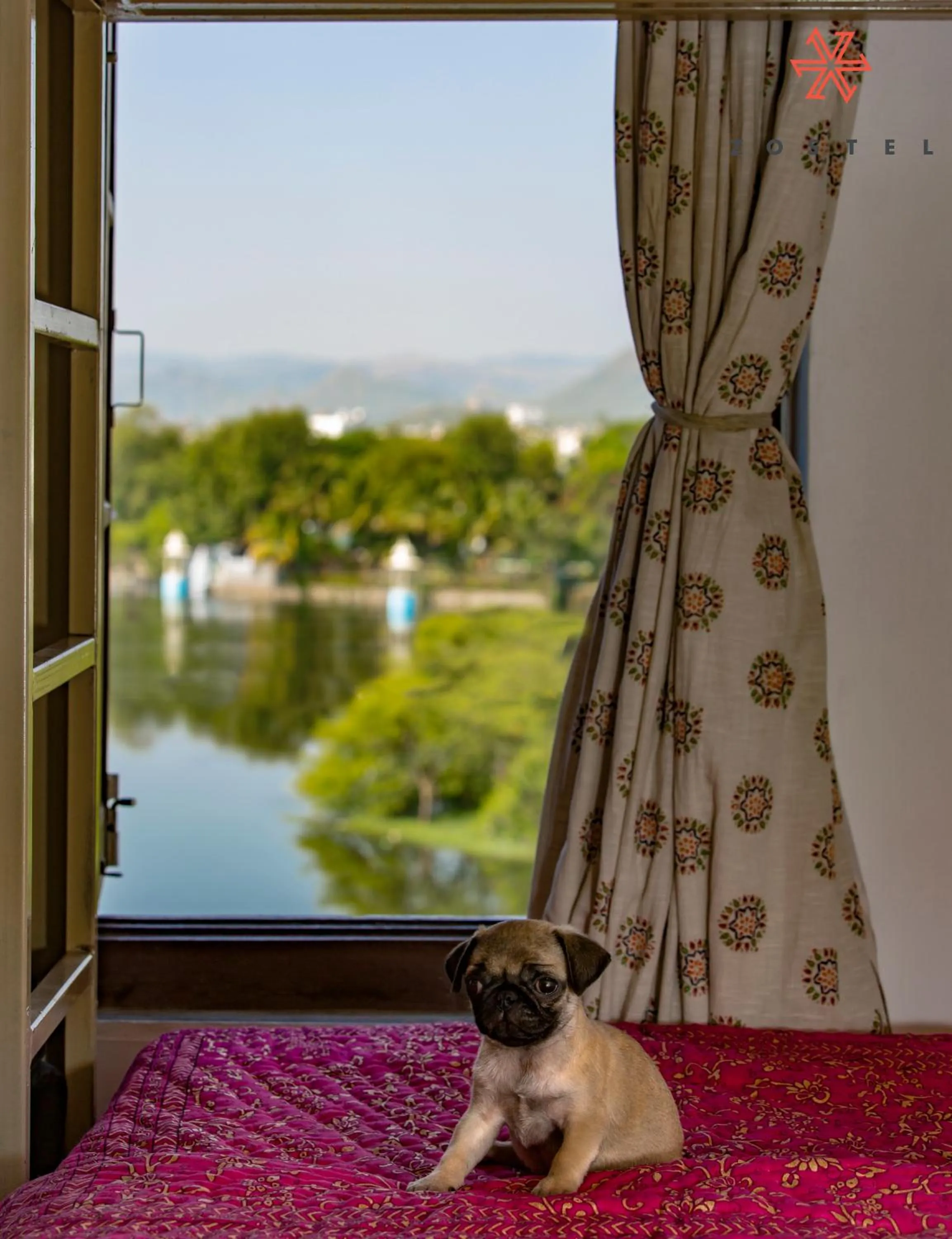 Lake view in Zostel Udaipur