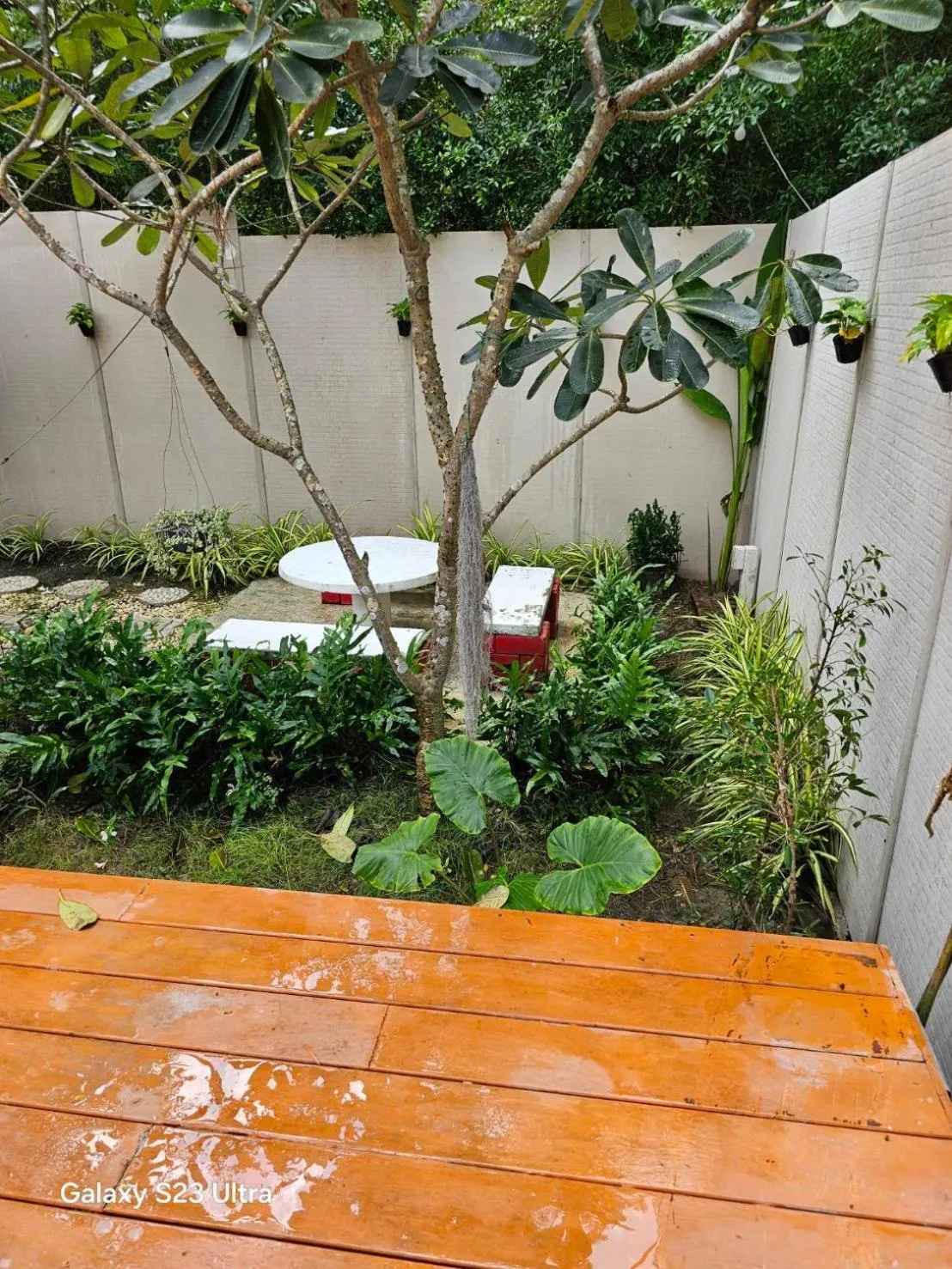 Terrua Main Ten Villa Garden