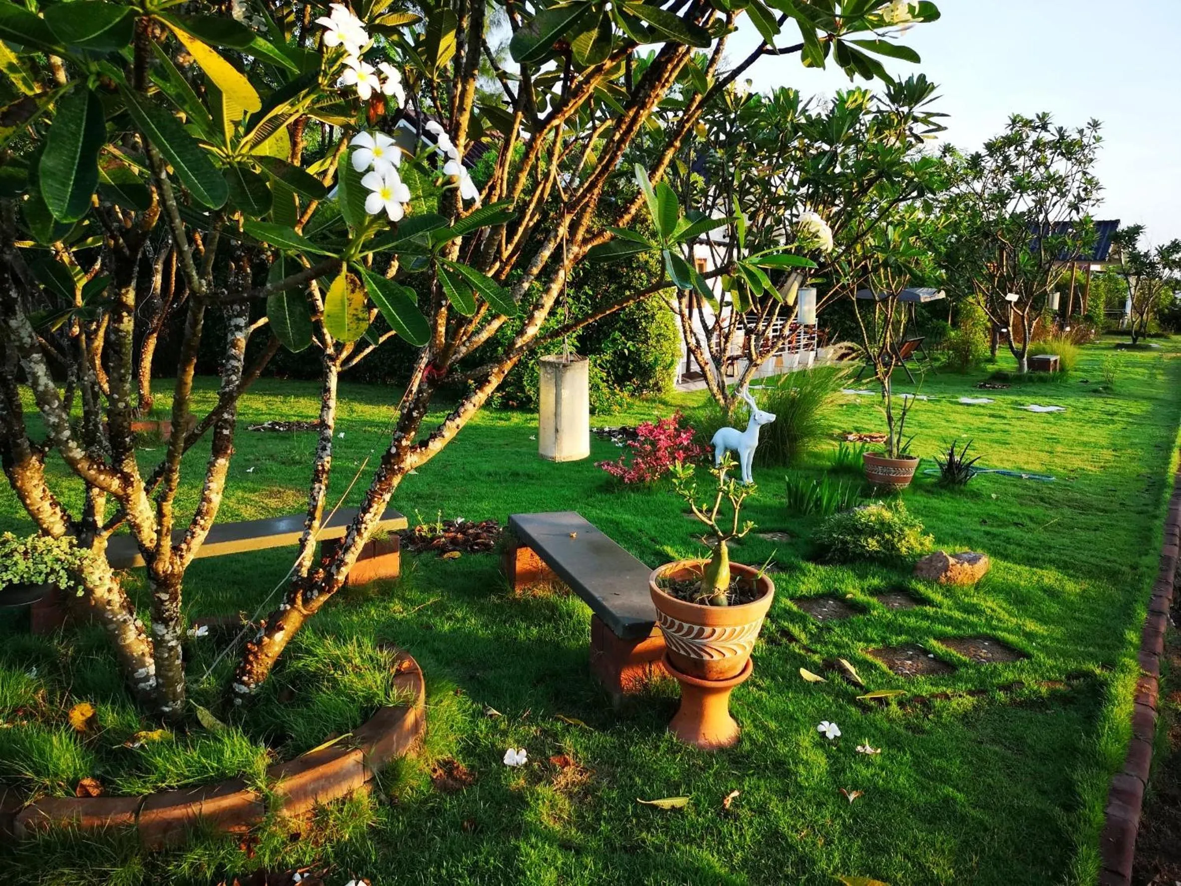 Terrua Main Ten Villa Garden
