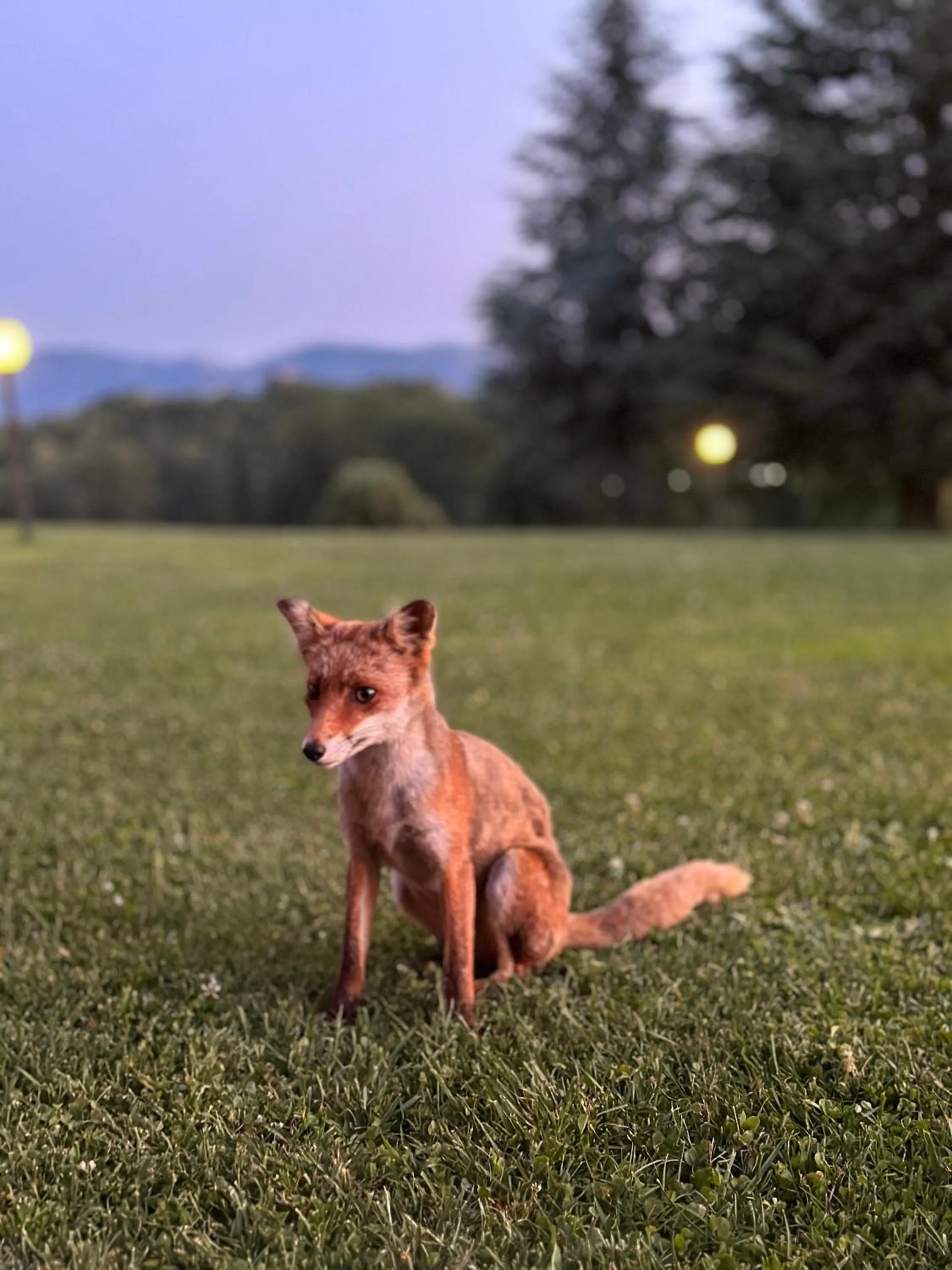 Agriturismo Borgo Imperiale