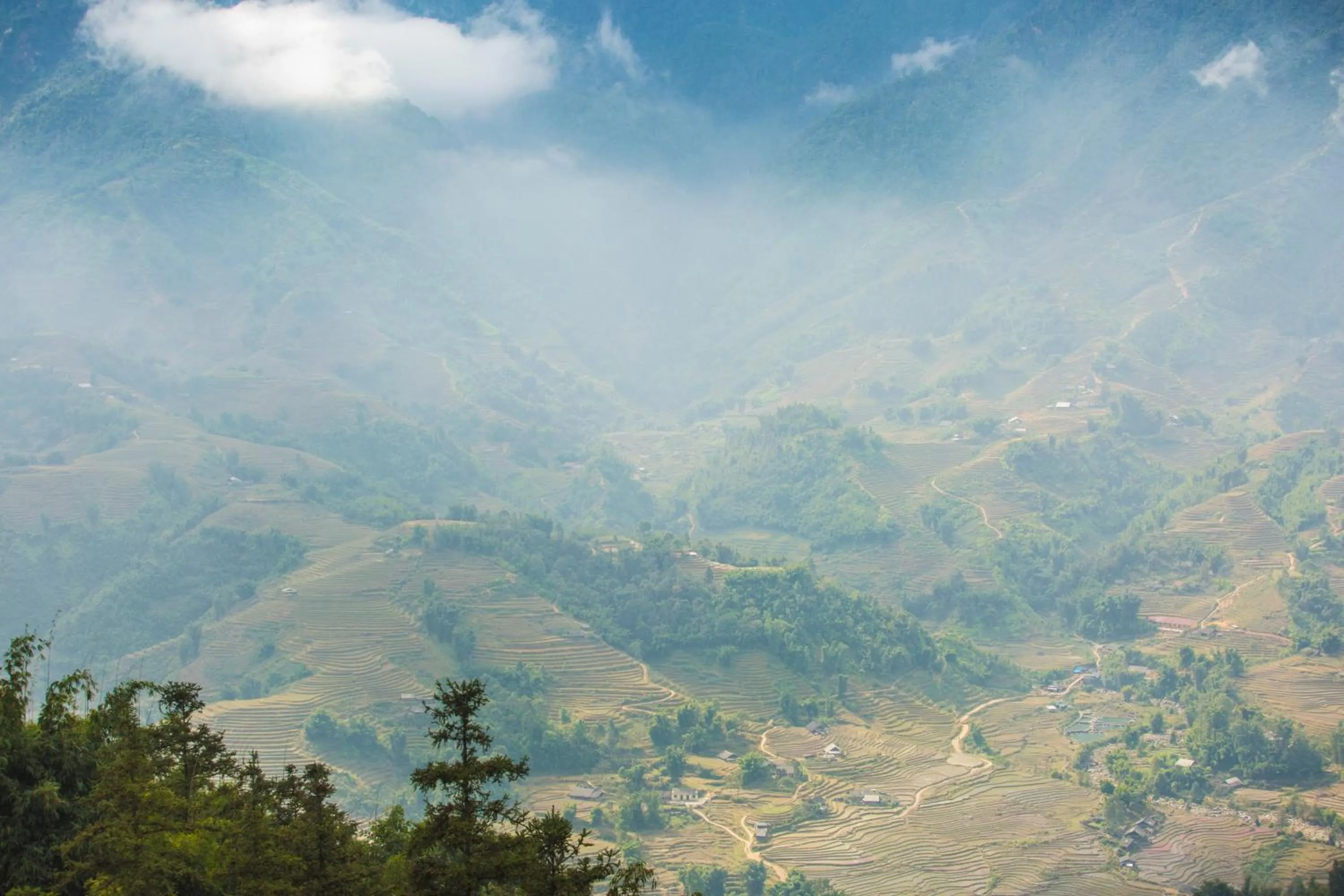 Natural landscape in Sapa Jade Hill Resort & Spa