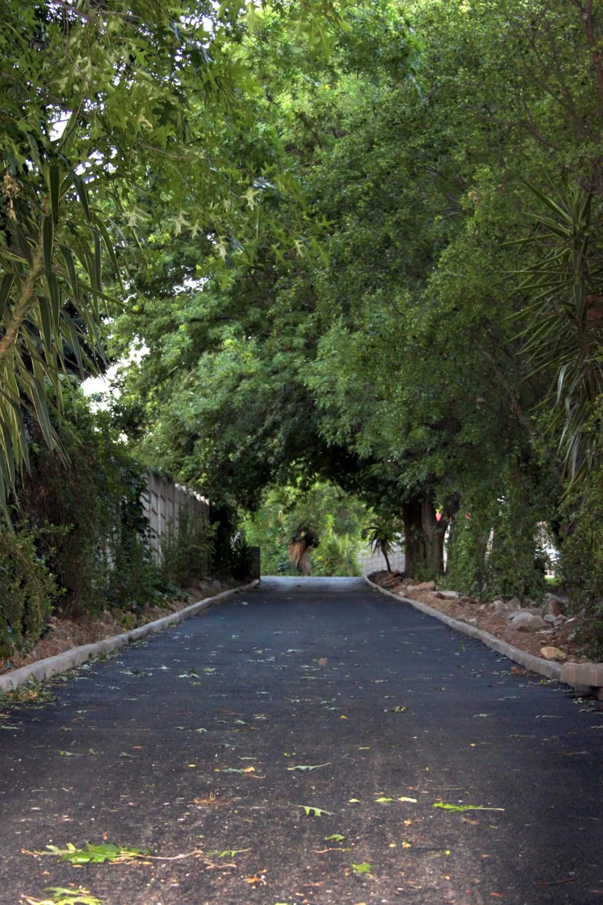 Property building in Vanilla Guesthouse