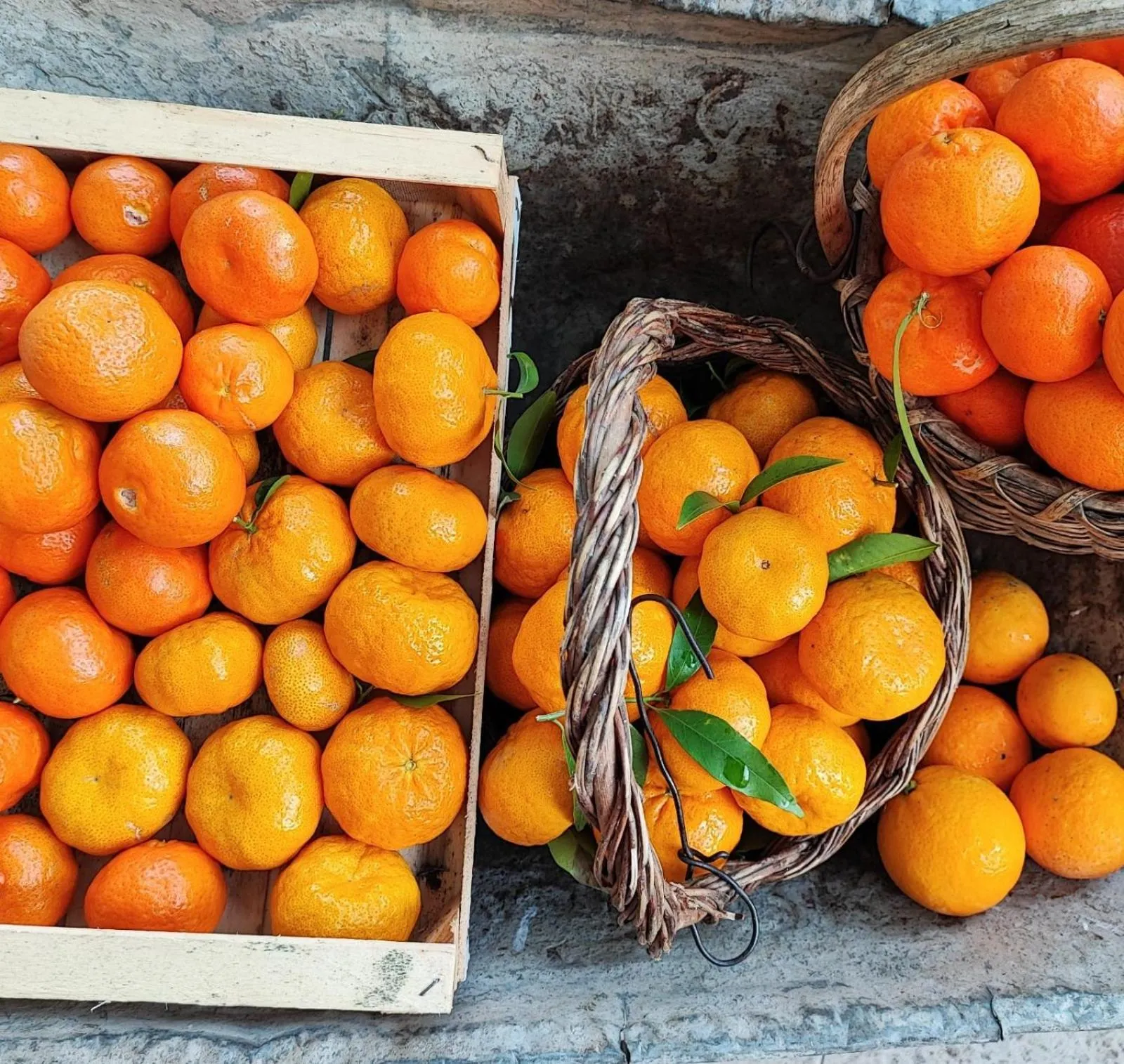 Breakfast in BBuSS Country Club